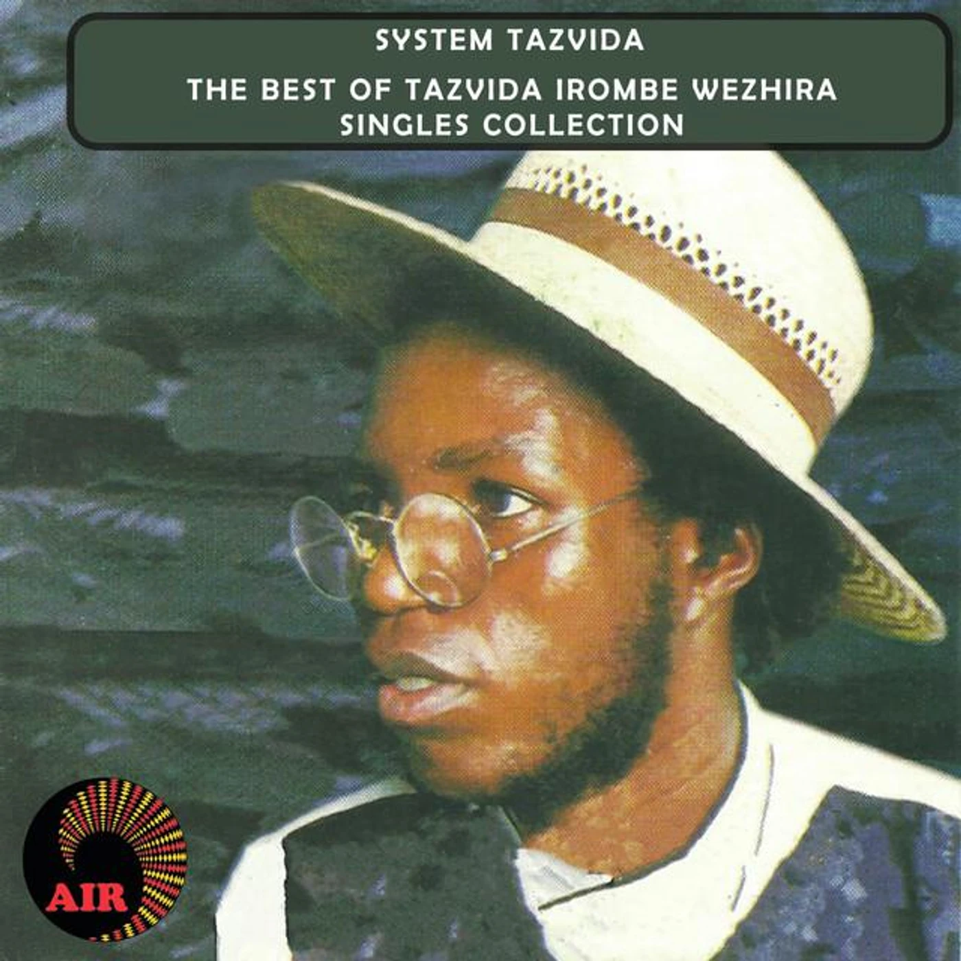 System Tazvida