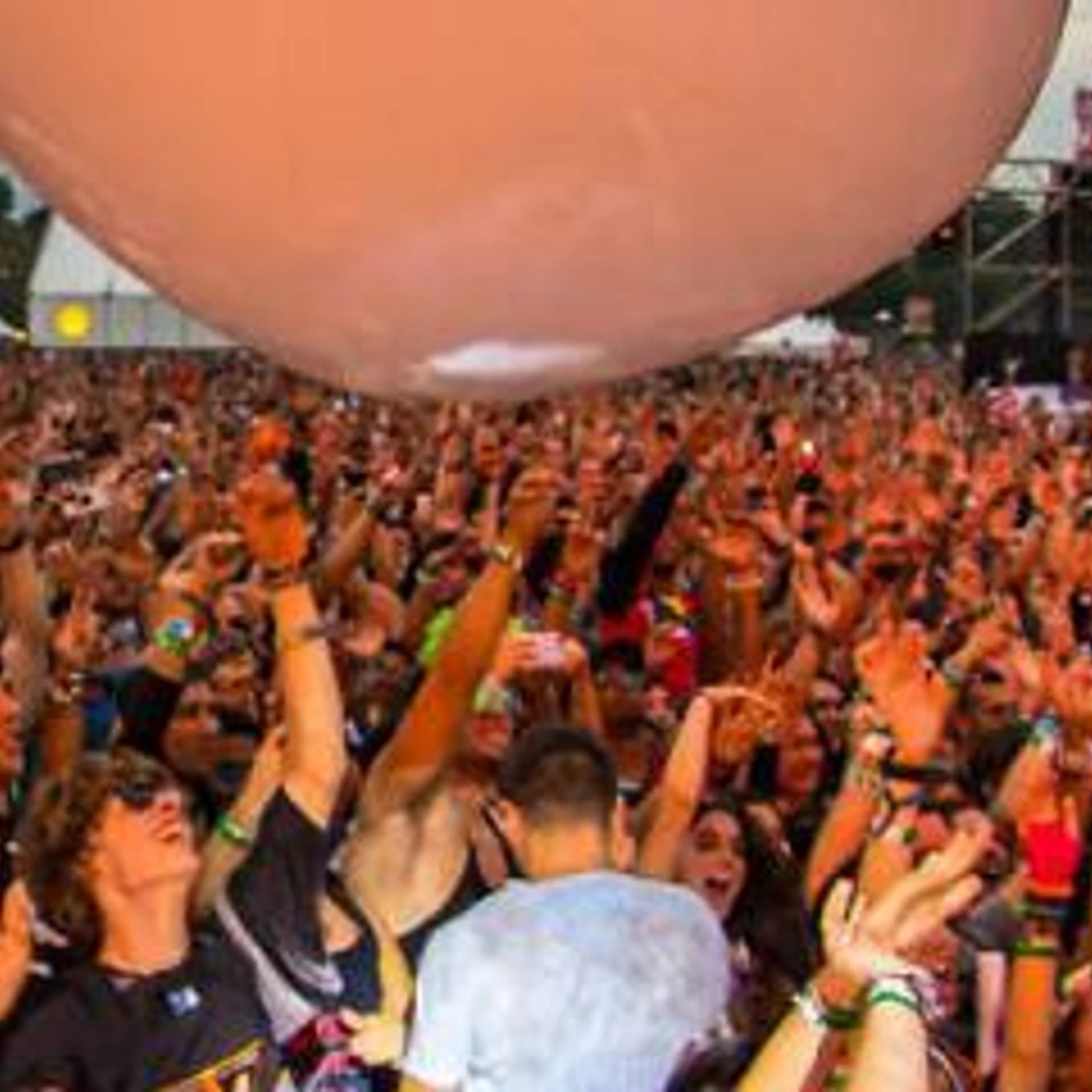 Electric Zoo