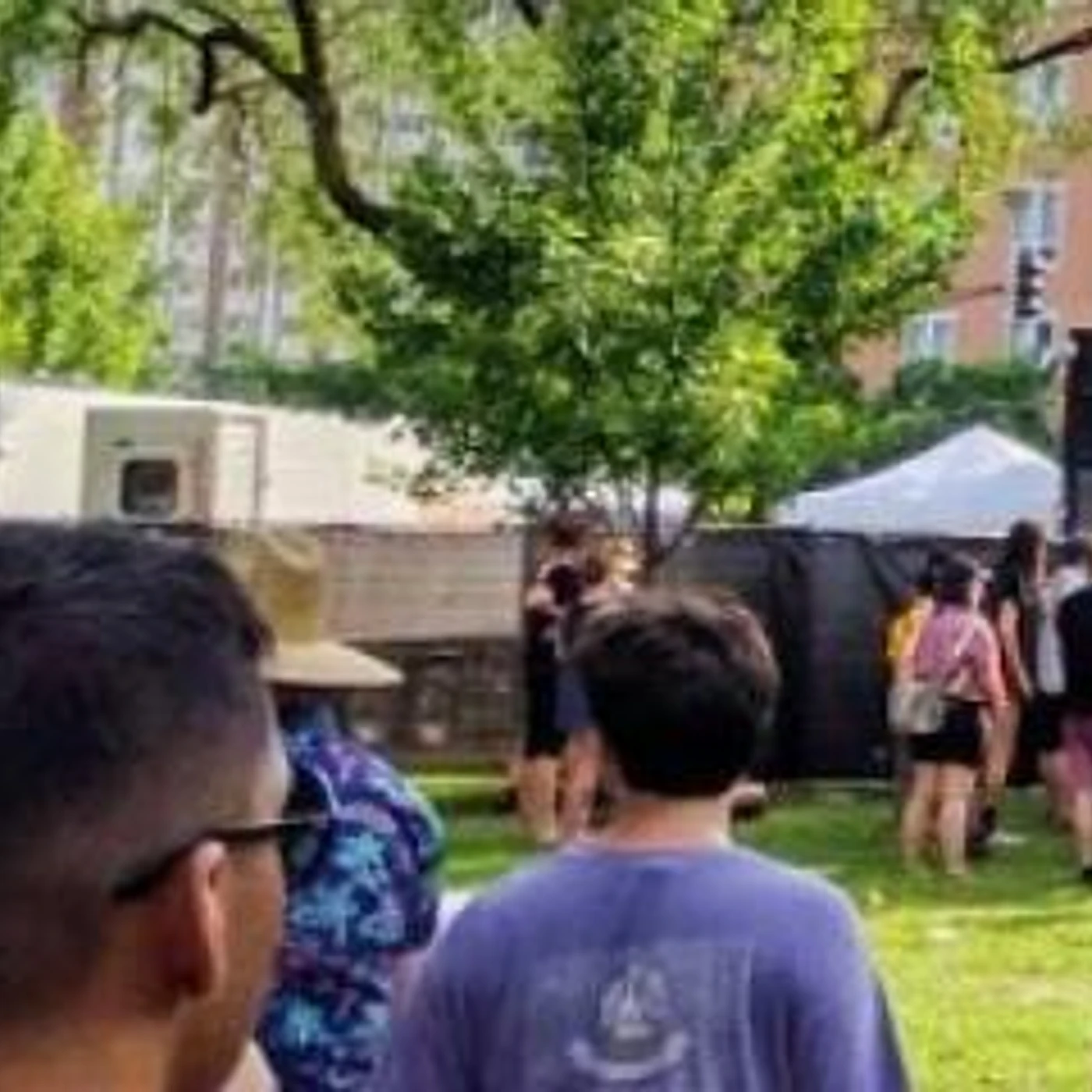 Pitchfork Music Festival