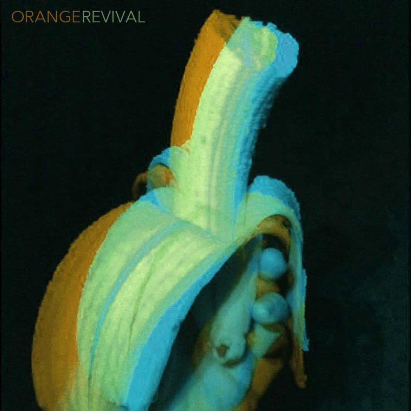 The Orange Revival Brand Page