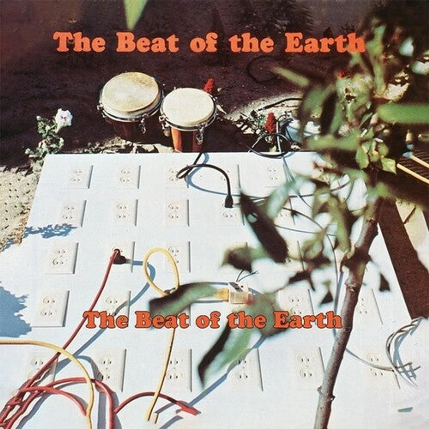 The Beat Of The Earth Brand Page