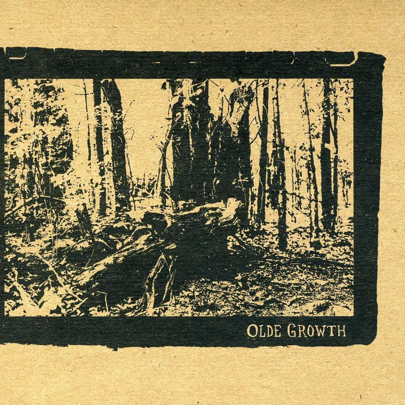 Olde Growth Brand Page