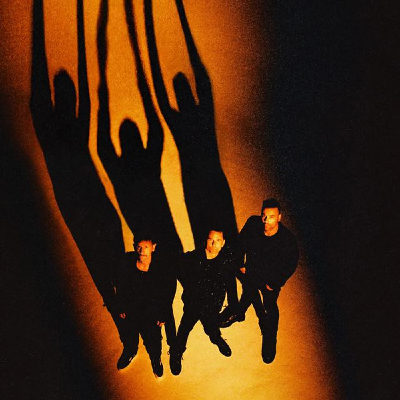 Muse Brand Page