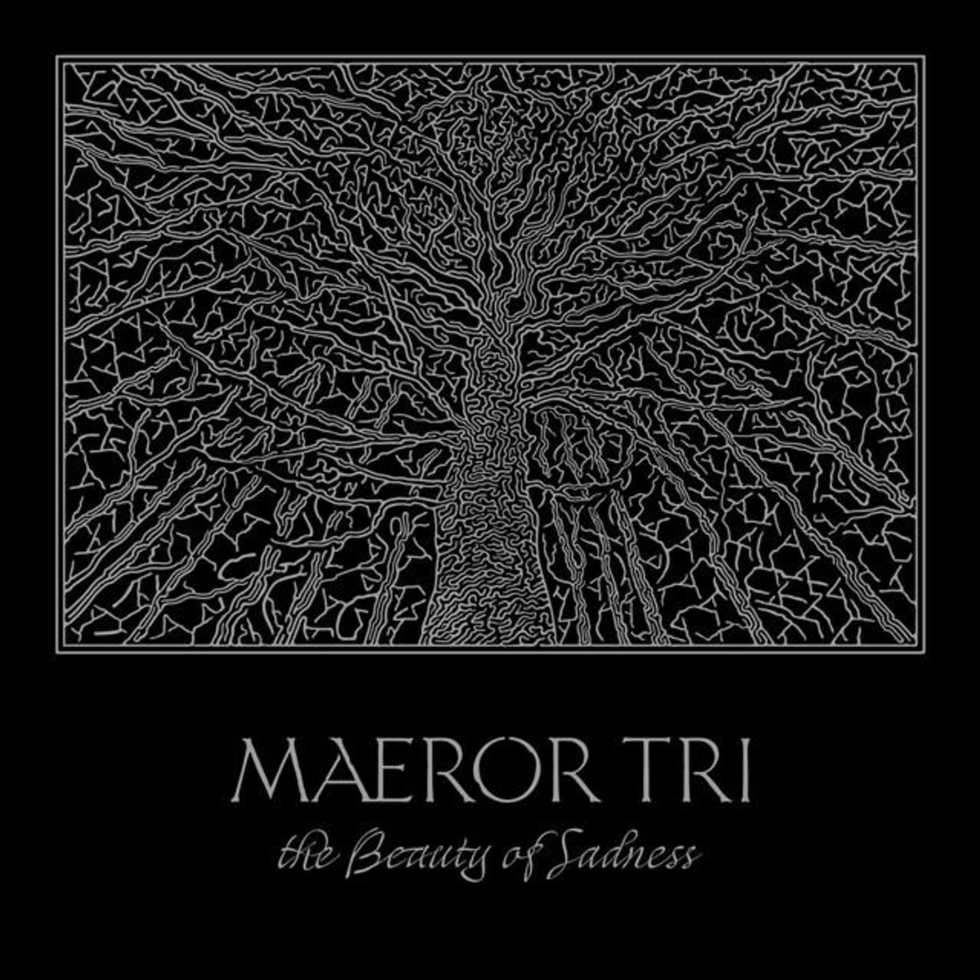 Maeror Tri Brand Page