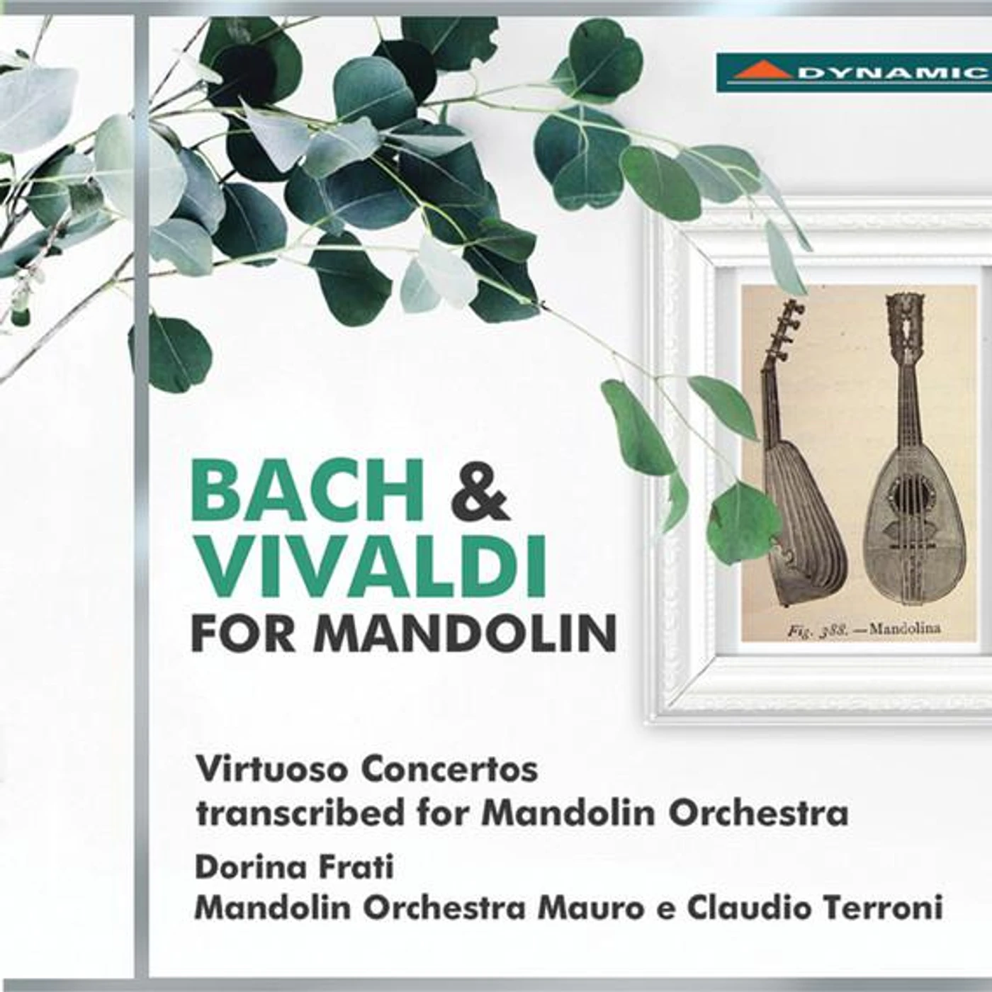 Mandolin Orchestra Mauro e Claudio Terroni Brand Page