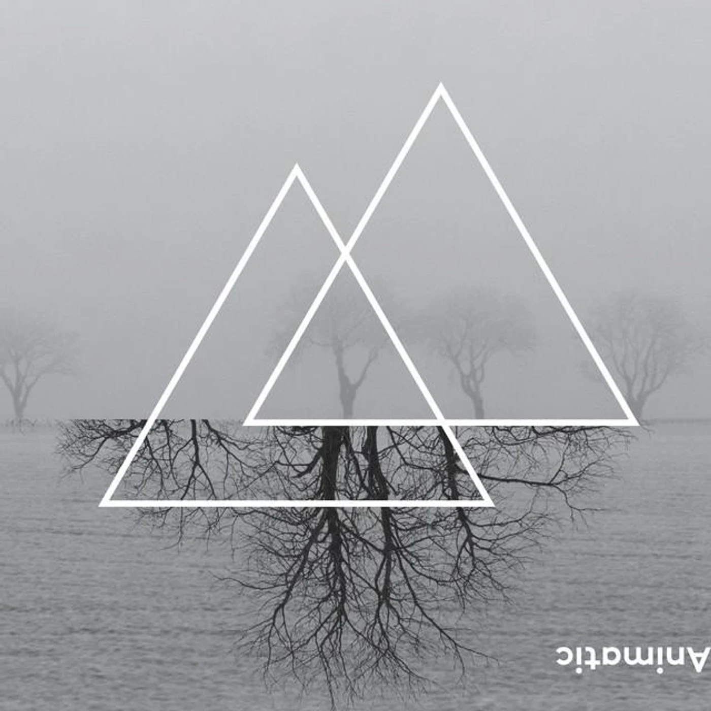 Mark Aanderud Brand Page