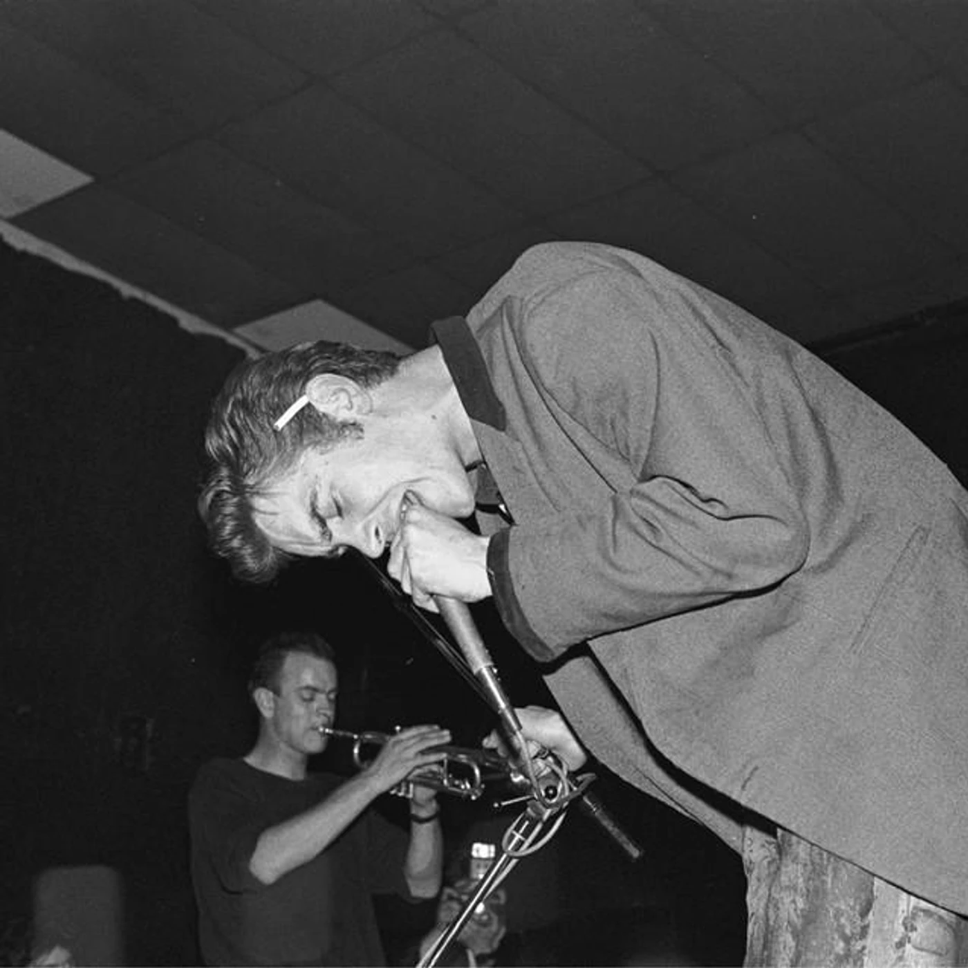Mark Stewart & The Maffia Brand Page