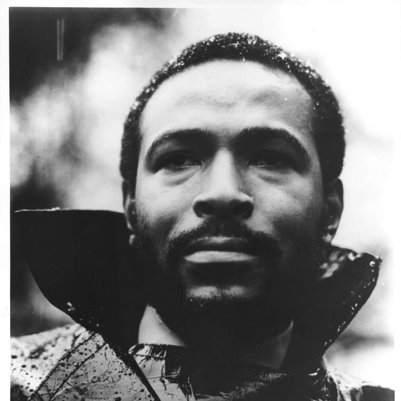 Marvin Gaye Brand Page