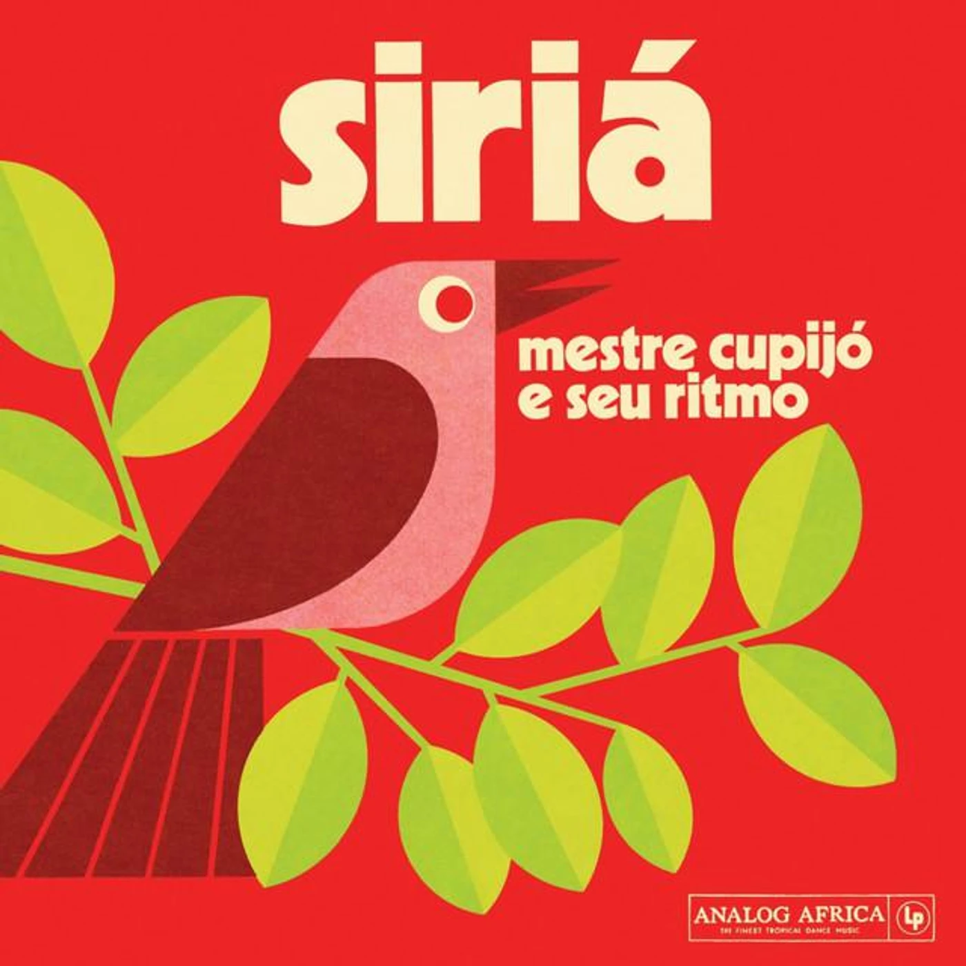 Mestre Cupijó e Seu Ritmo Brand Page
