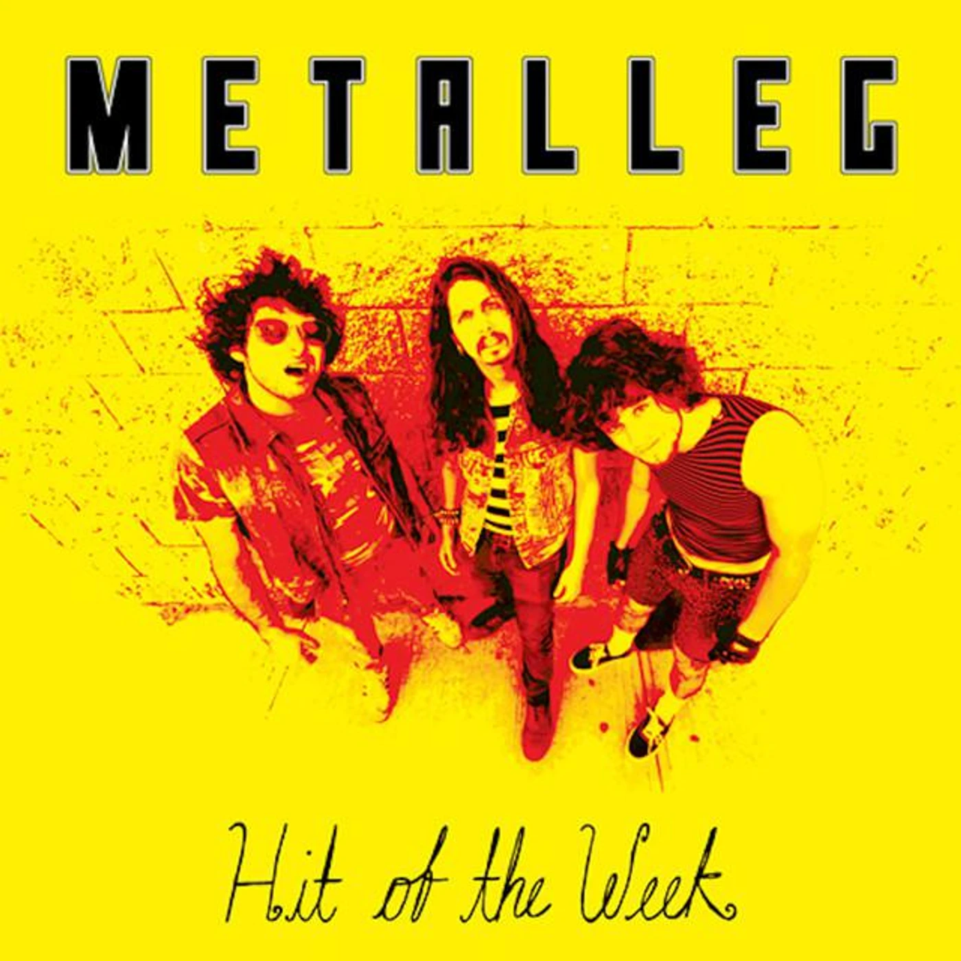 Metalleg