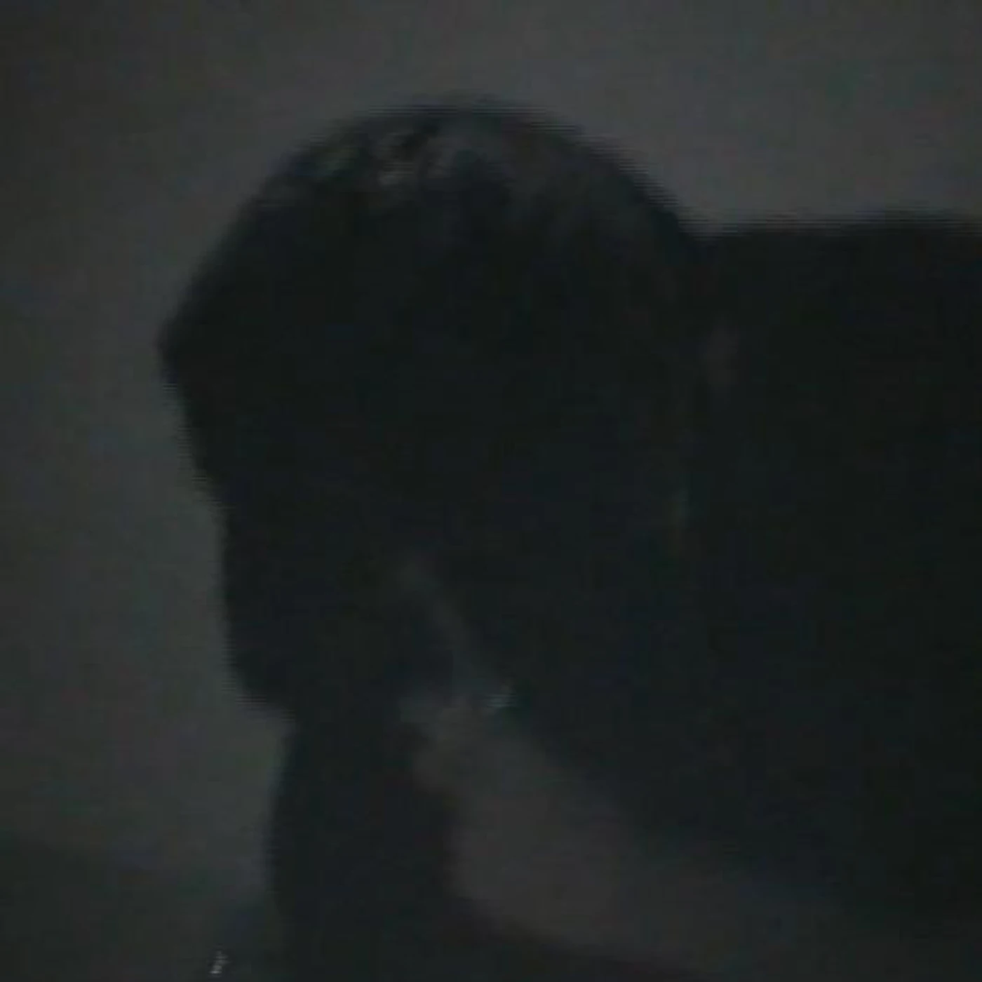 Meynsense