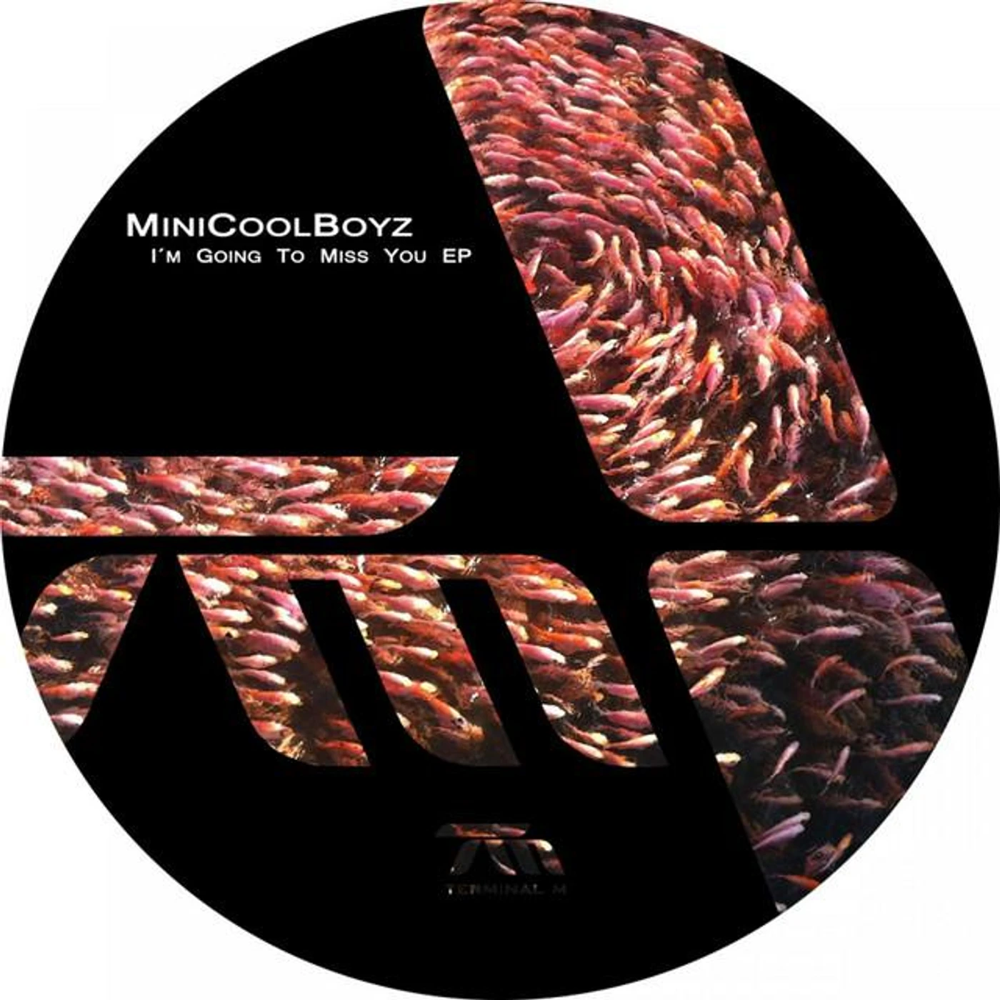 MiniCoolBoyz Brand Page