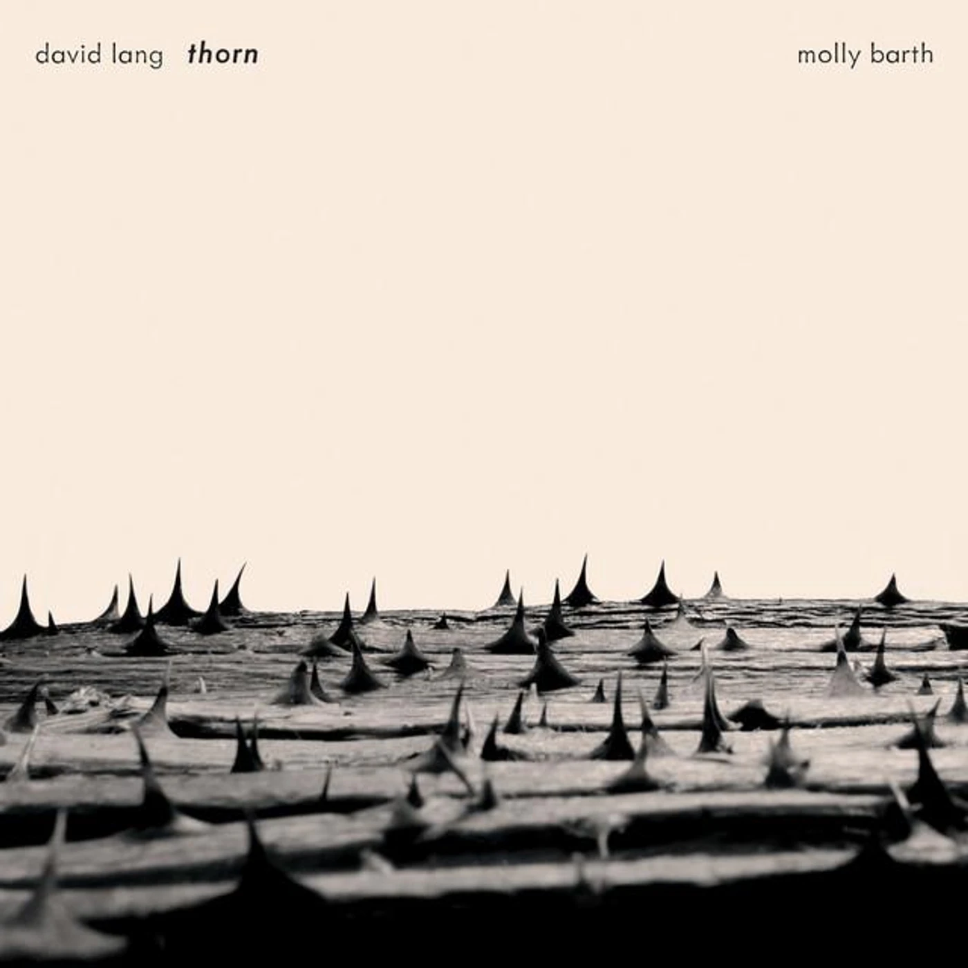 Molly Barth