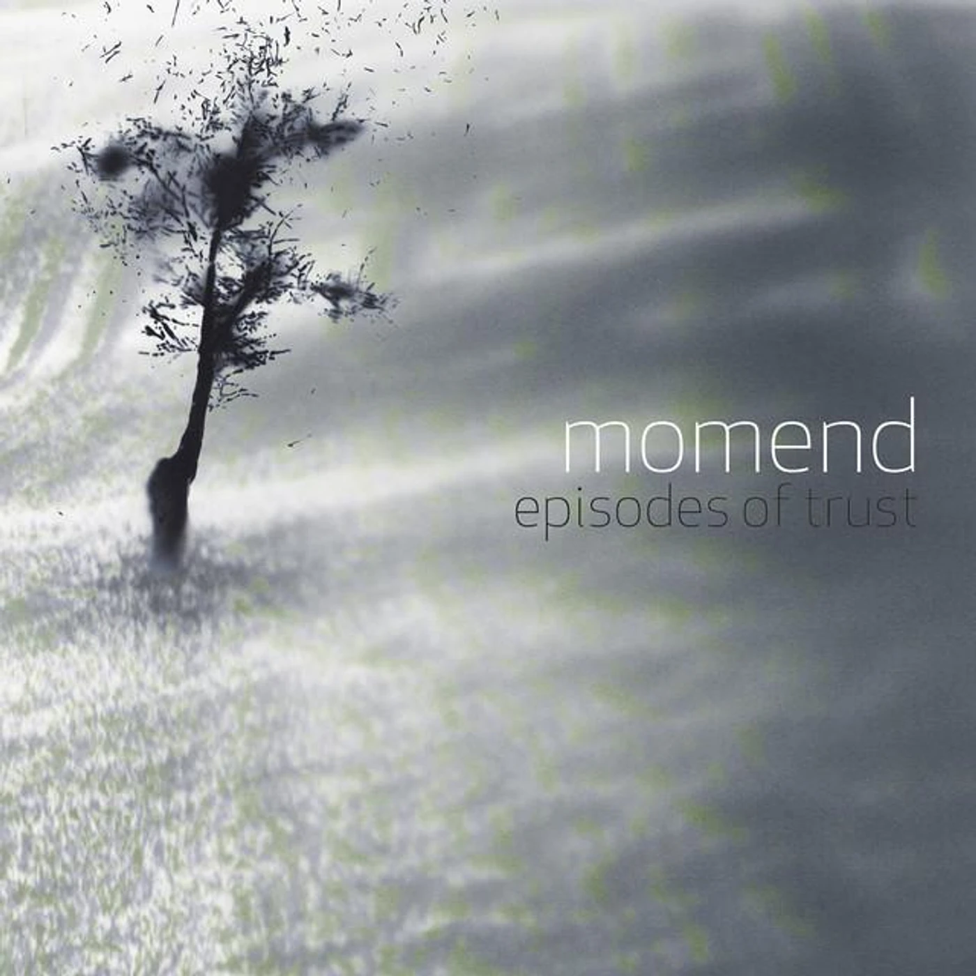 Momend Brand Page