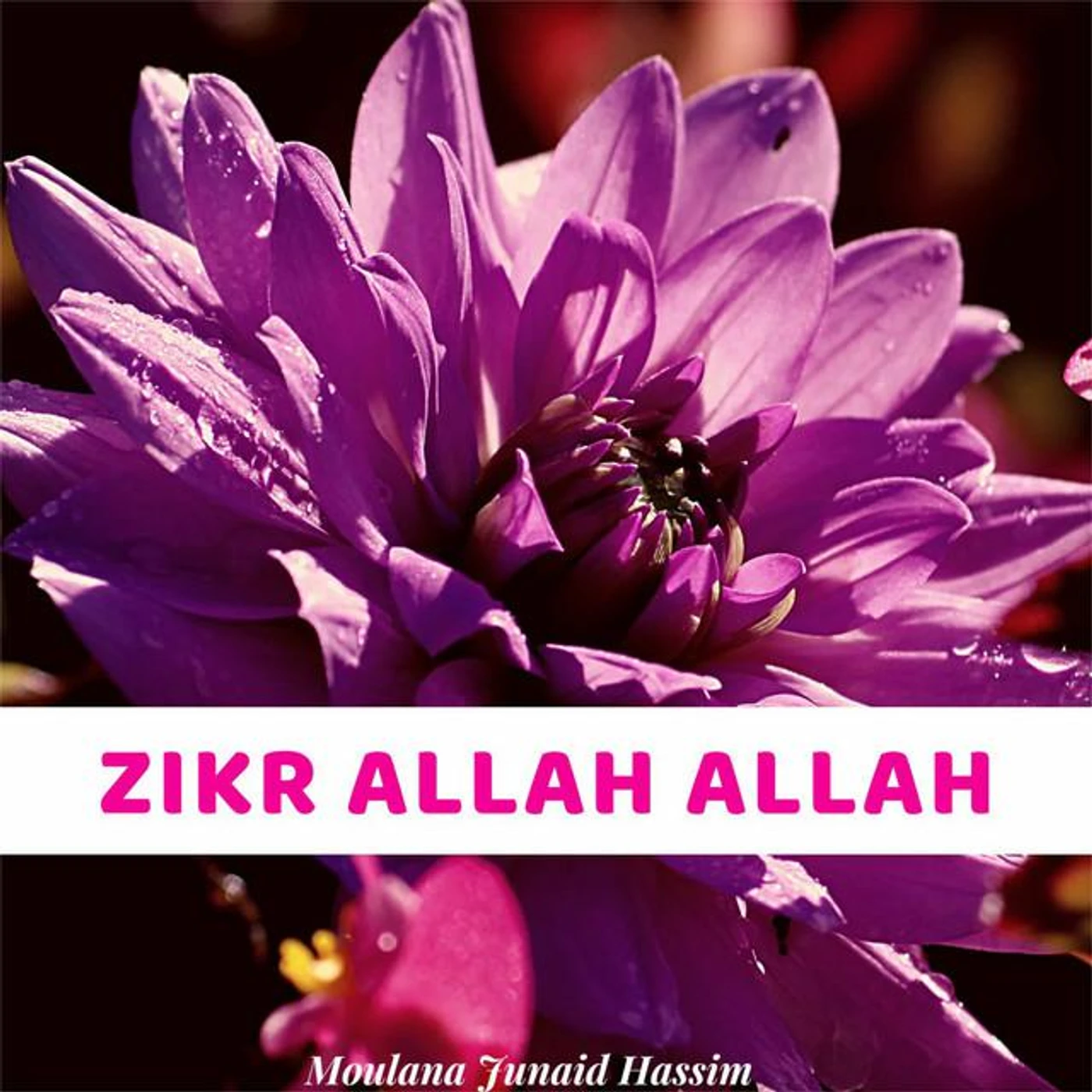 Moulana Junaid Hassim