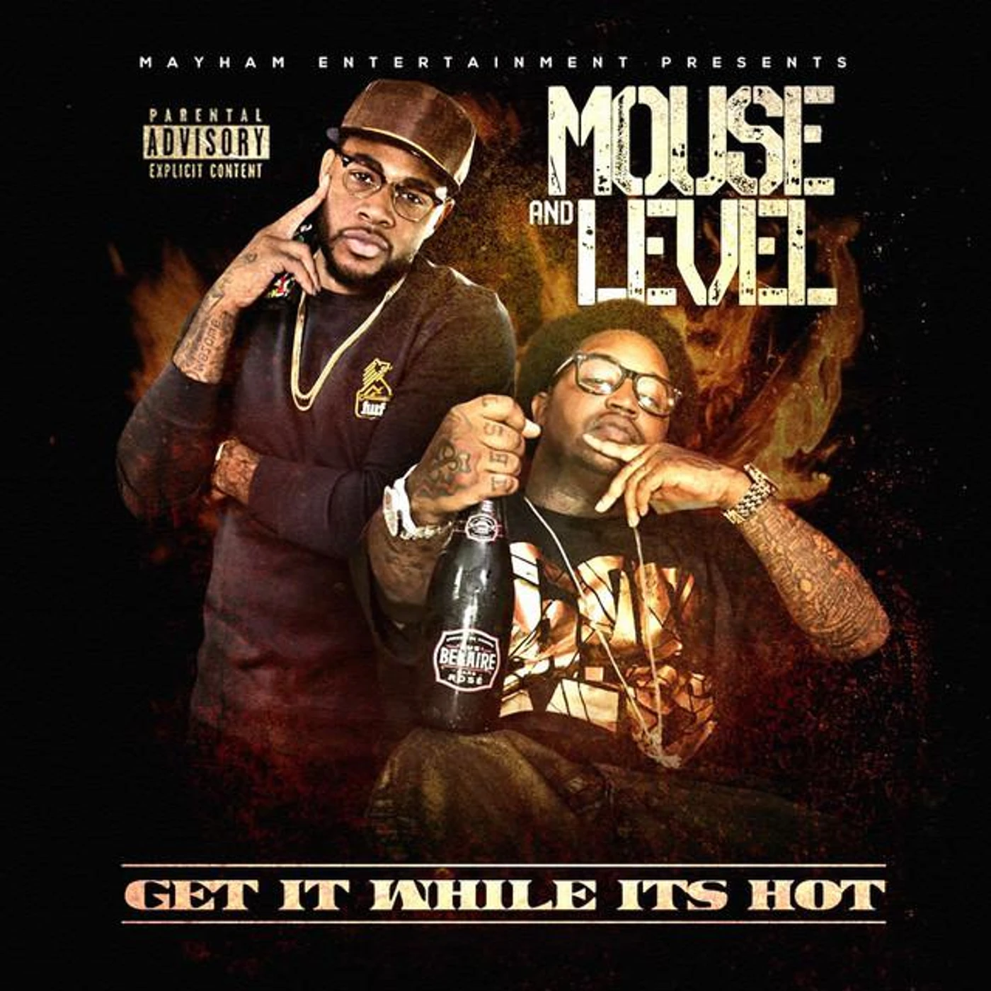 Mouse and Level