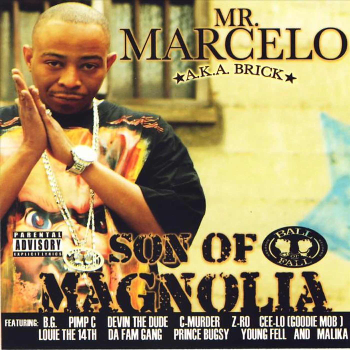Mr. Marcelo Brand Page