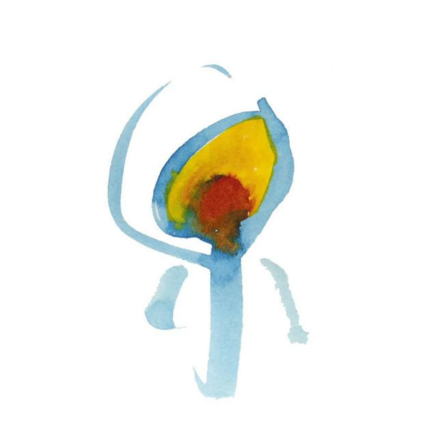Nujabes Brand Page
