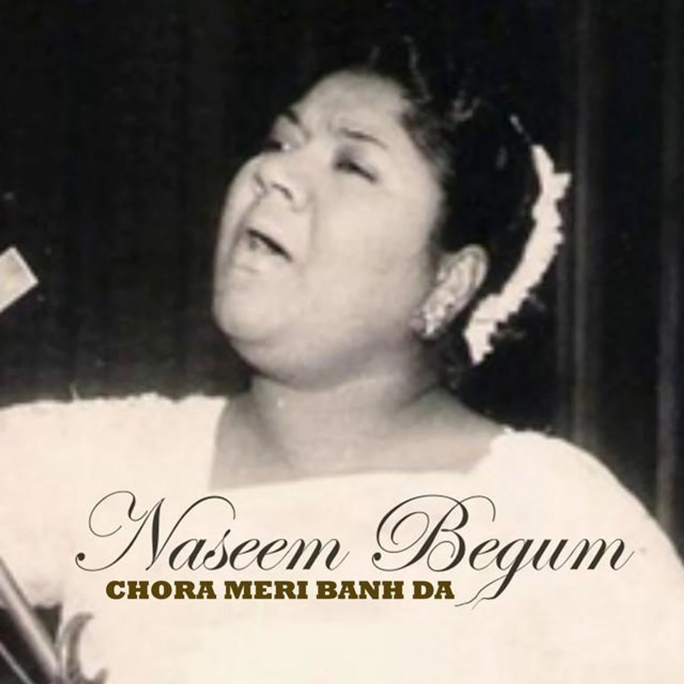 Naseem Begum Brand Page