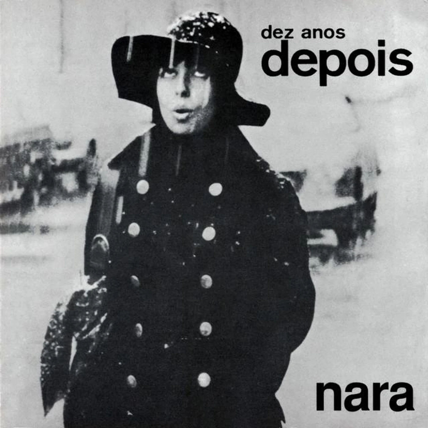 Nara Leão Brand Page