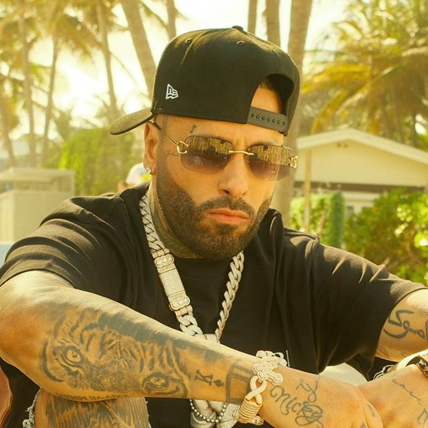 Nicky Jam Brand Page