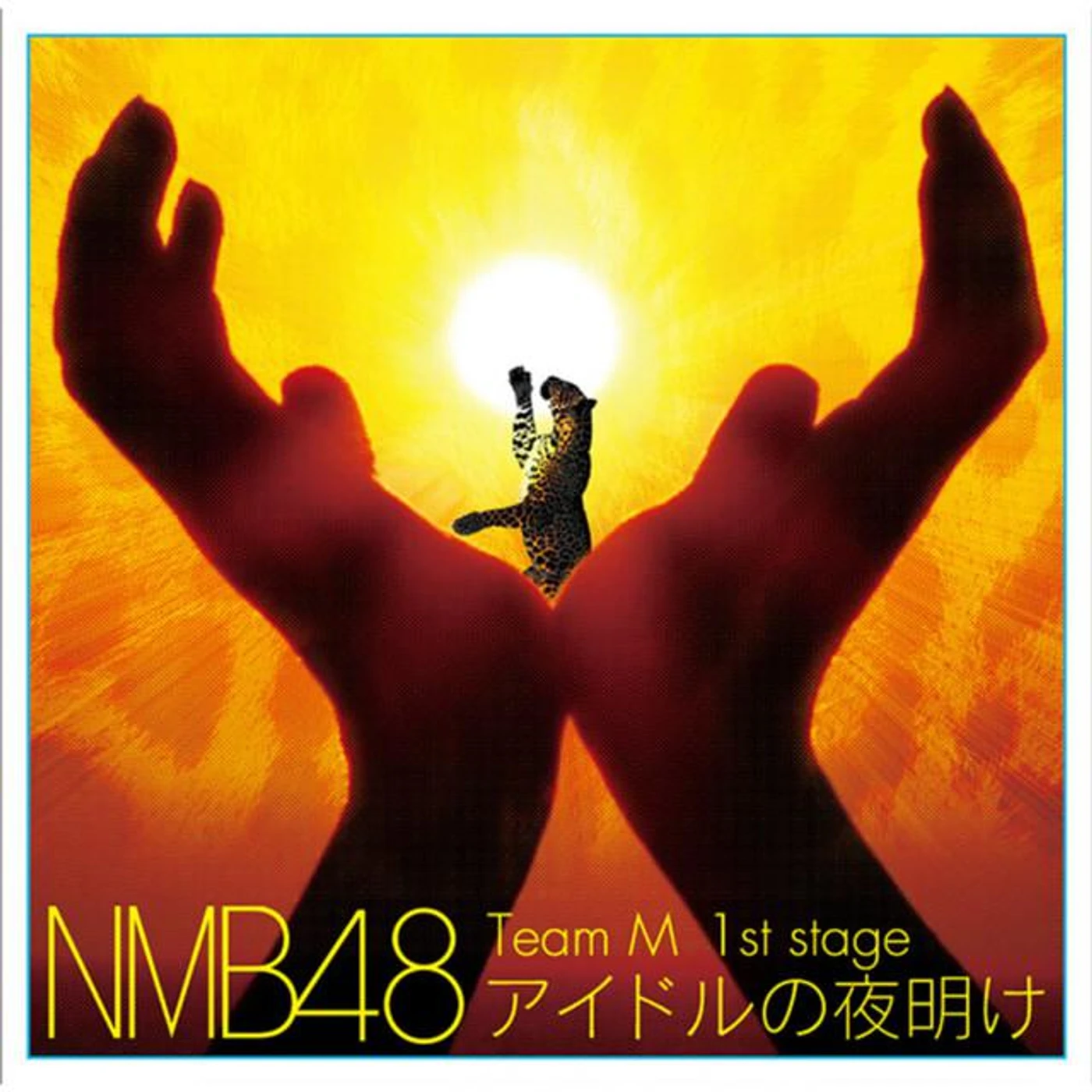 NMB48 Team M Brand Page