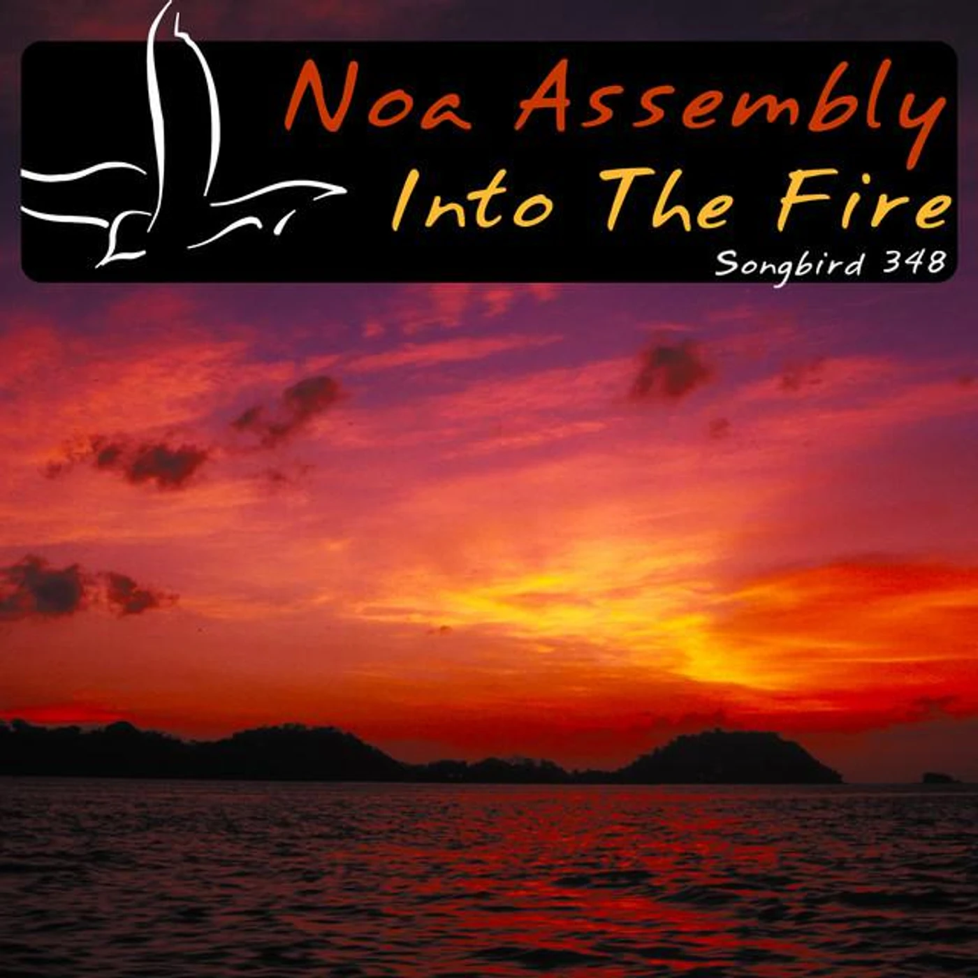 Noa Assembly Brand Page