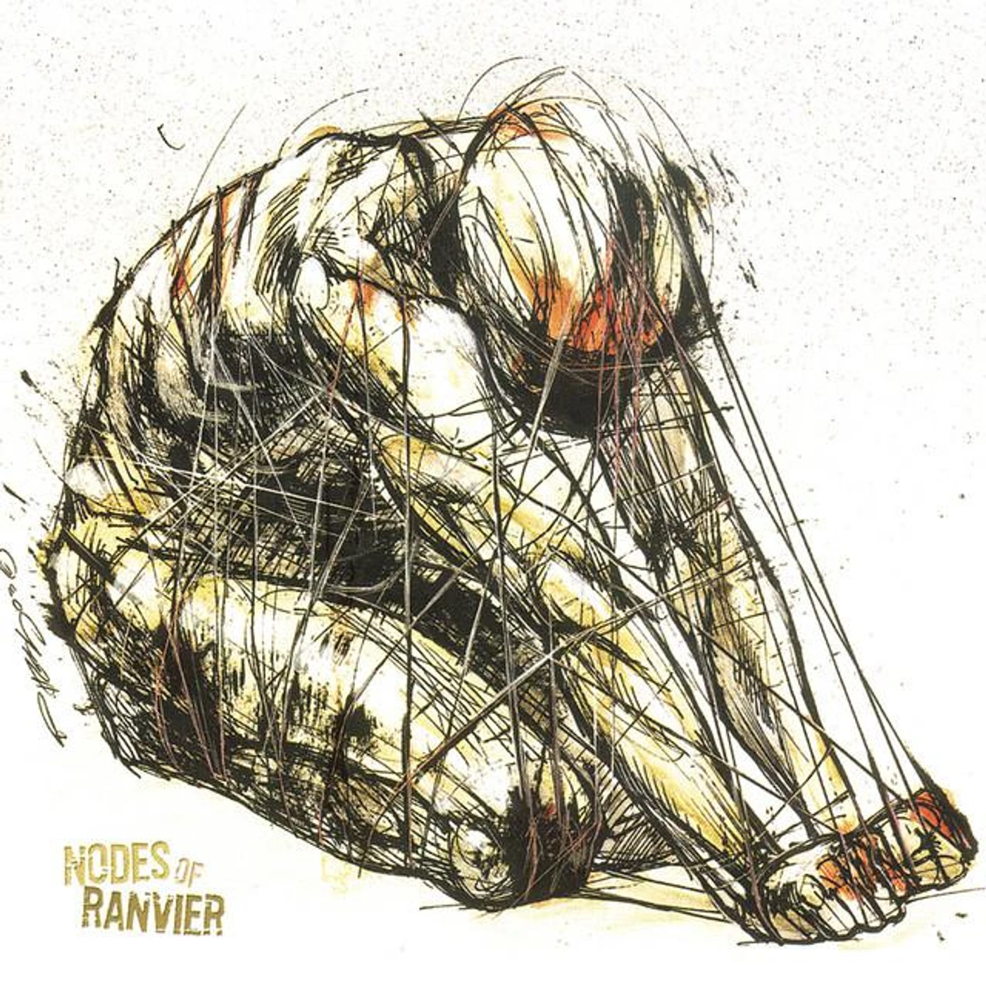 Nodes Of Ranvier Brand Page