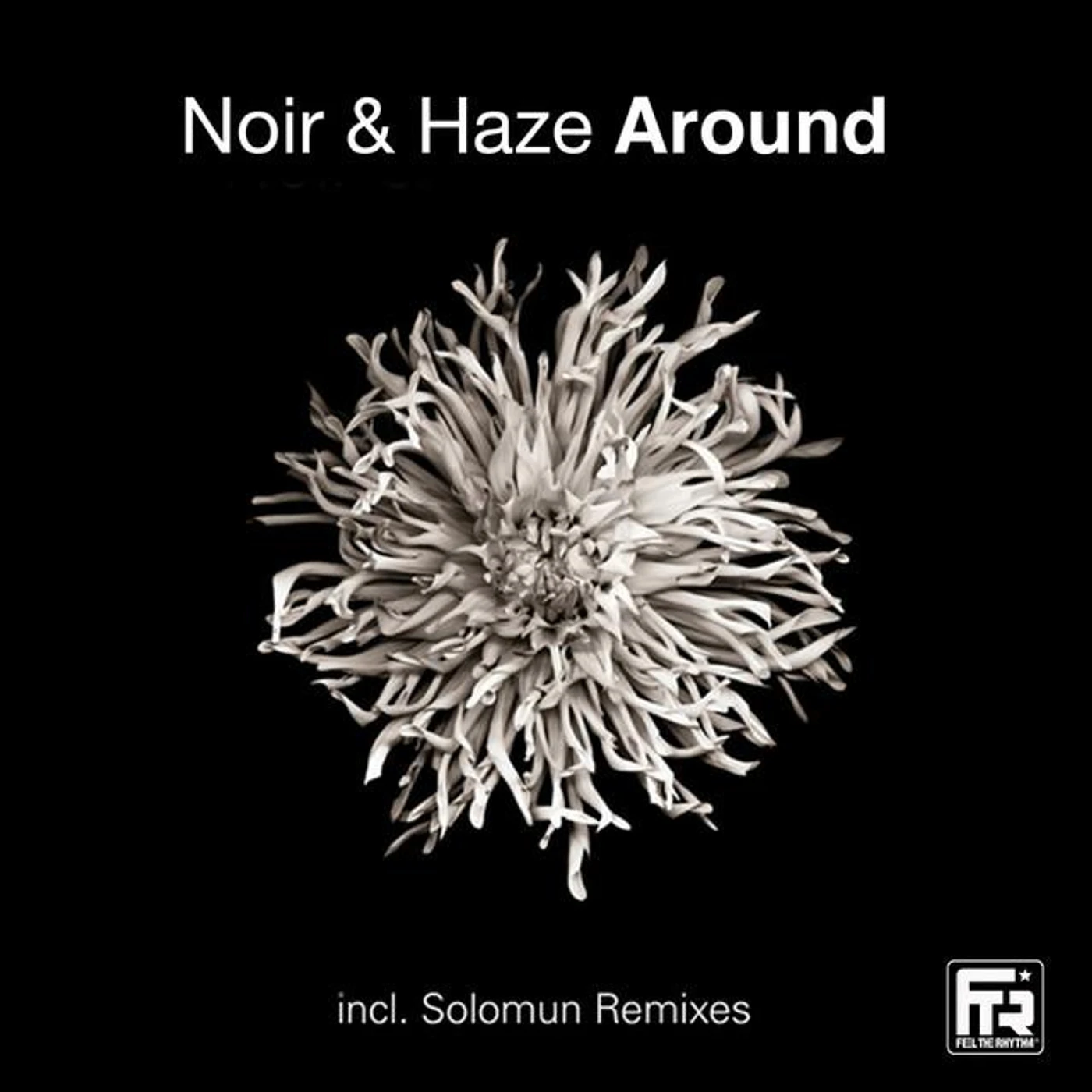 Noir & Haze Brand Page