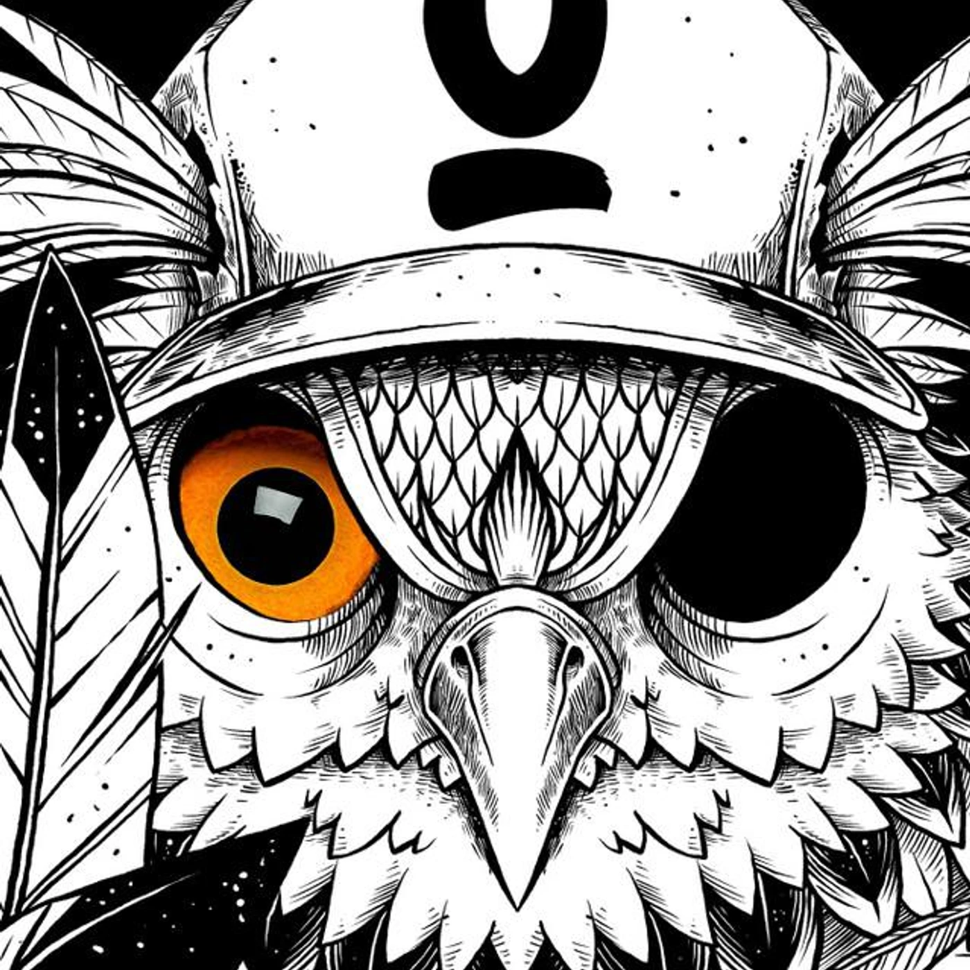 Otus Brand Page
