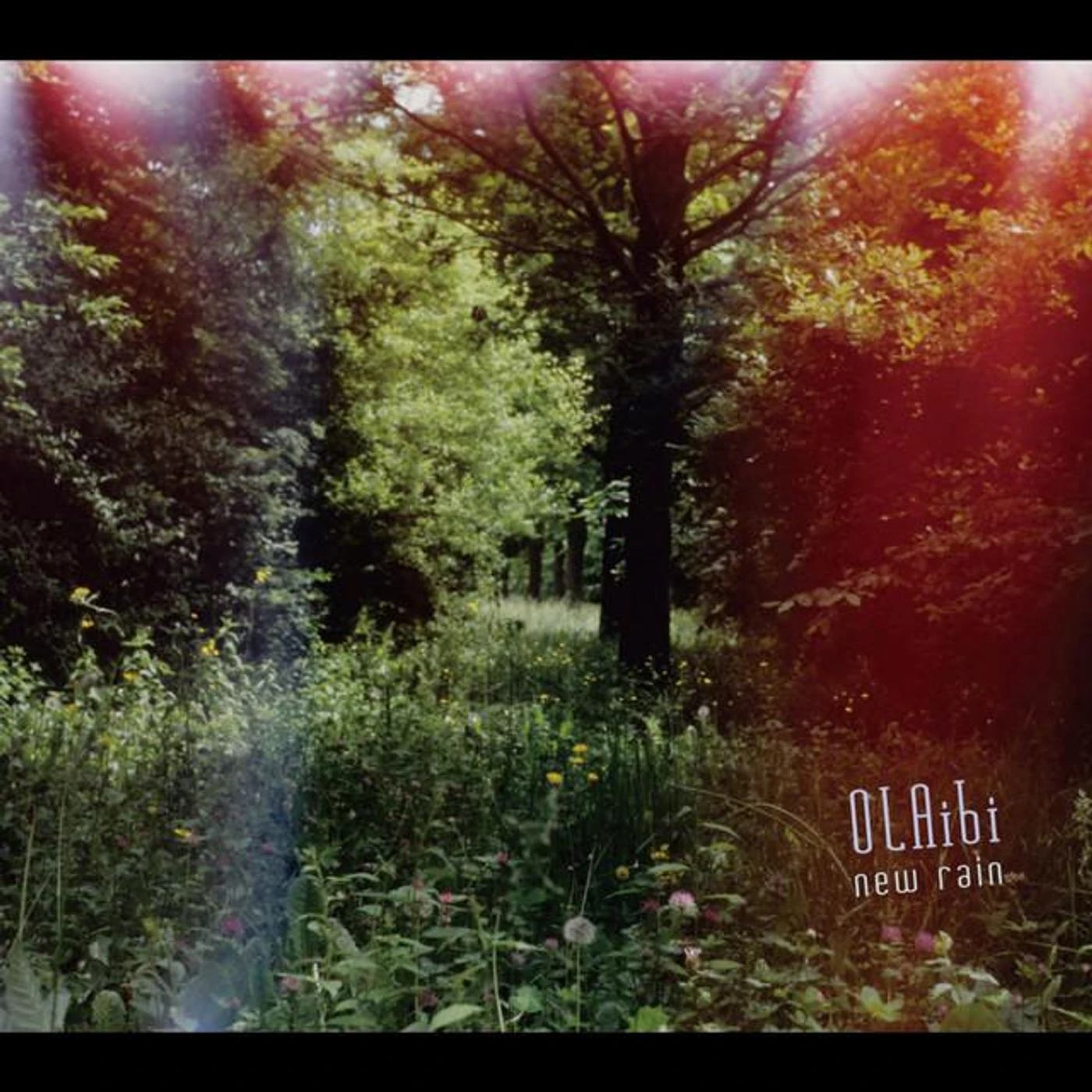OLAibi Brand Page
