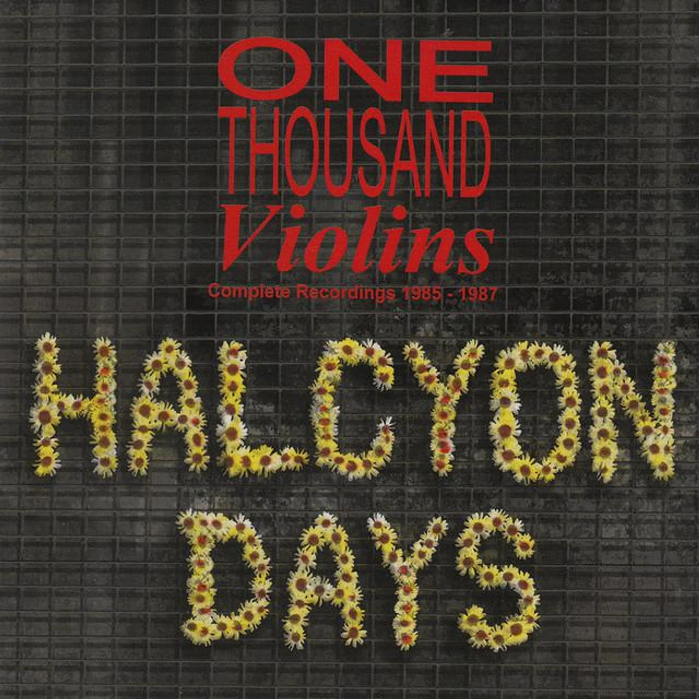 One Thousand Violins