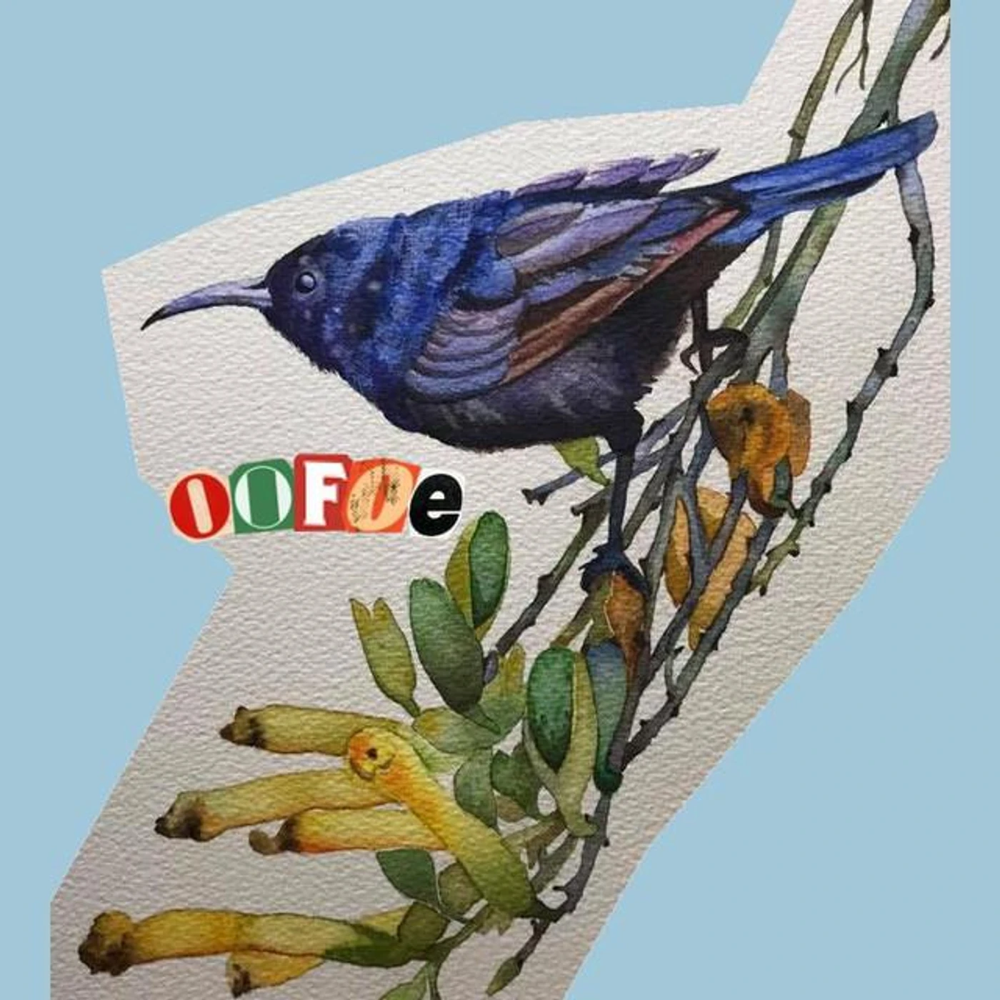 oofoe Brand Page