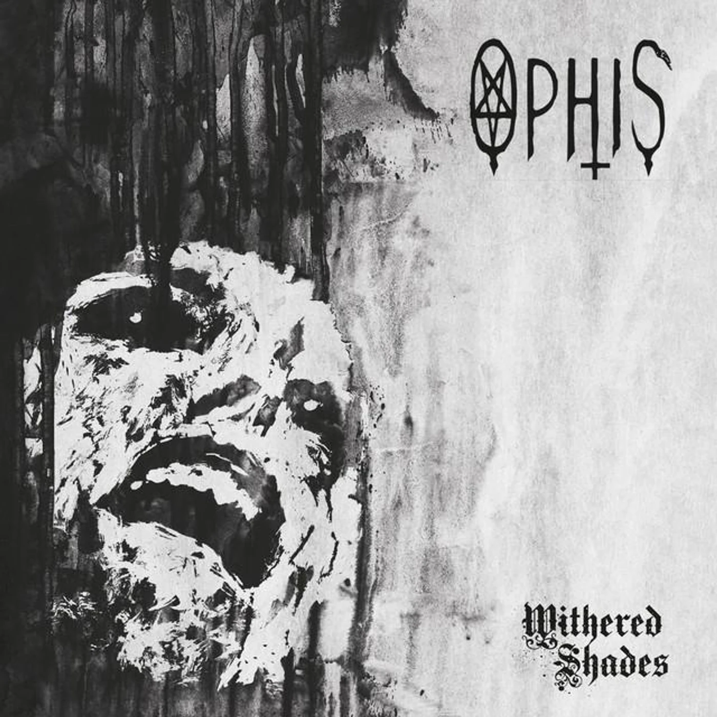 Ophis Brand Page