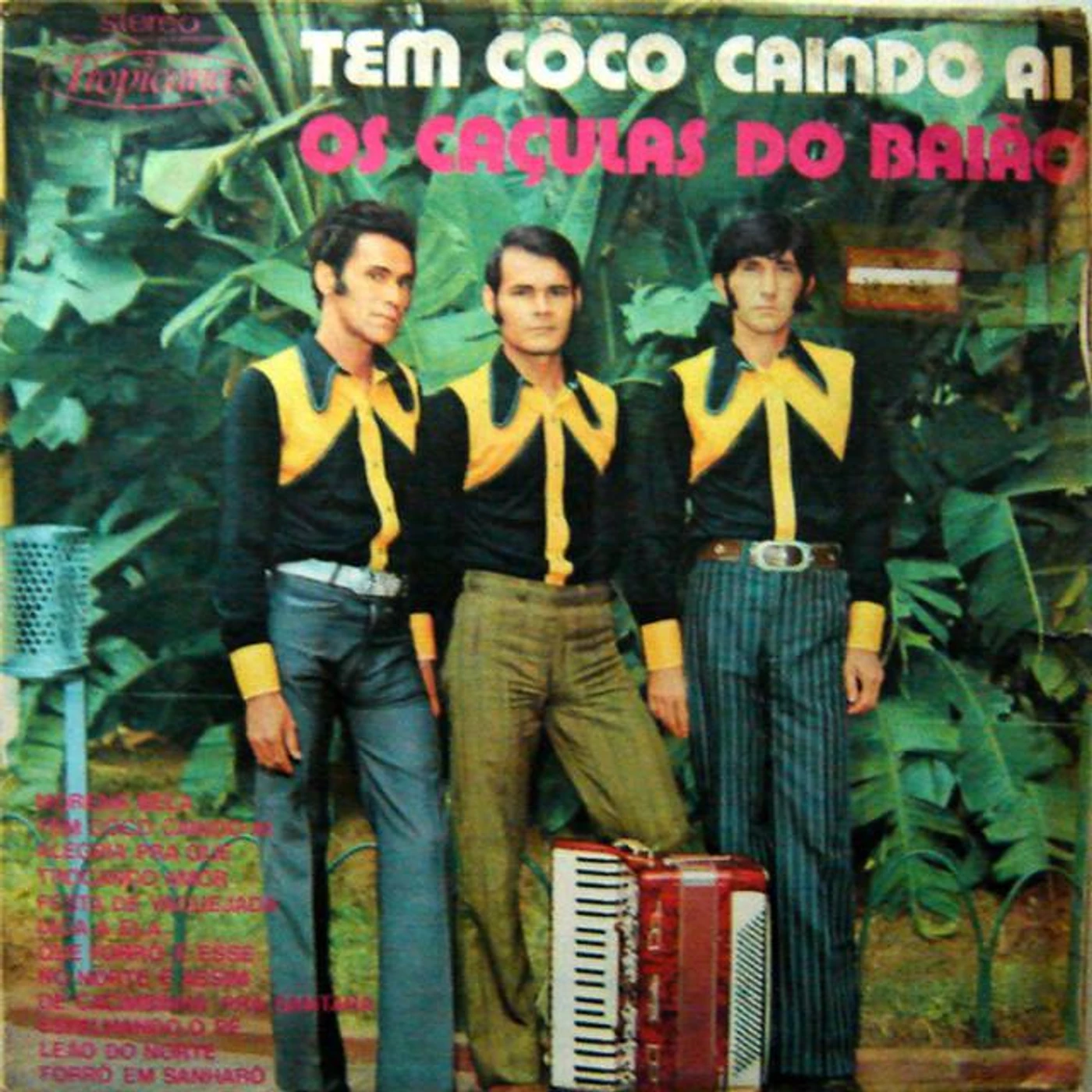 Os Caçulas Do Baião Brand Page