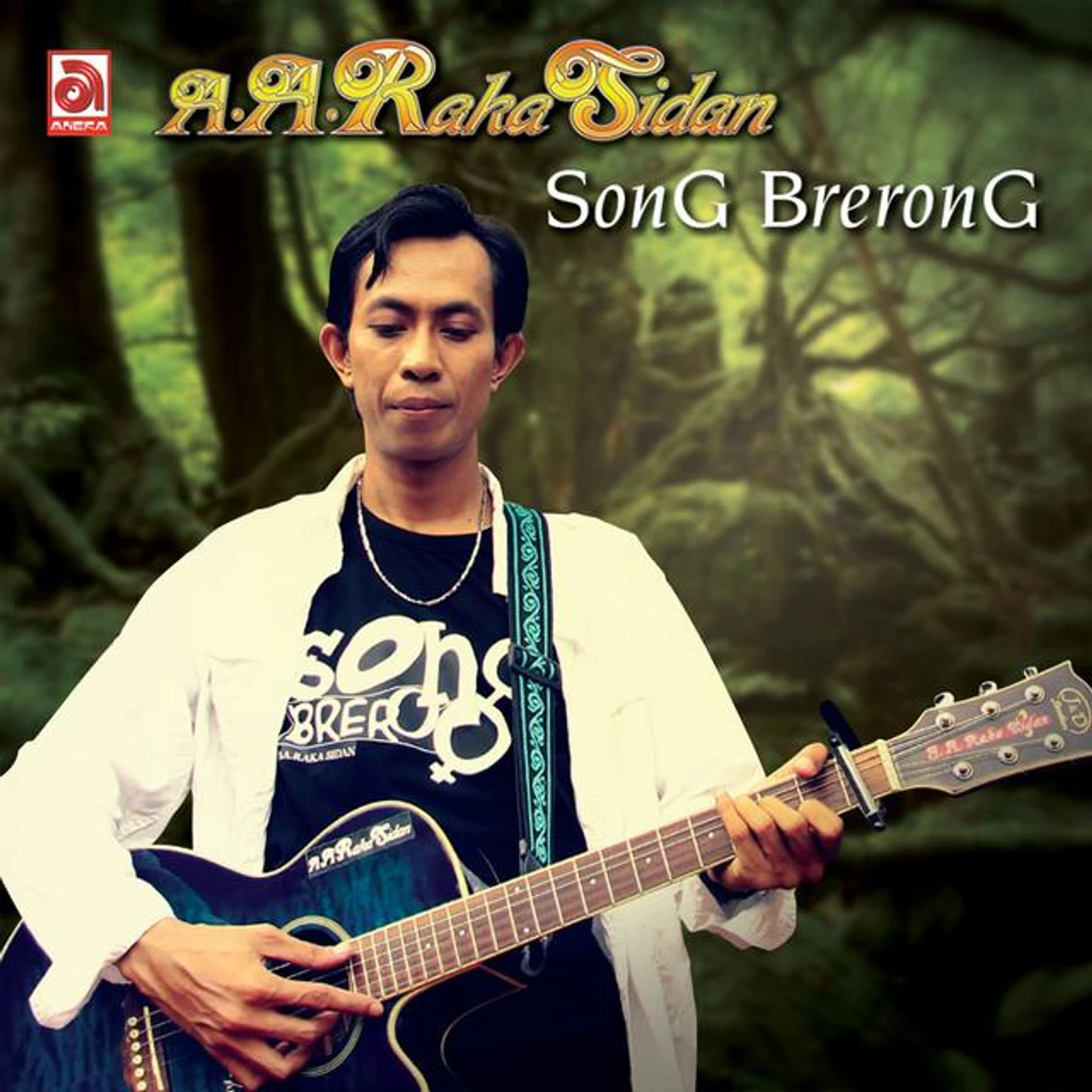 A. A. Raka Sidan Brand Page