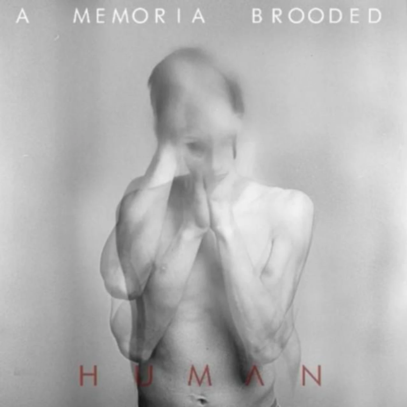 A Memoria Brooded
