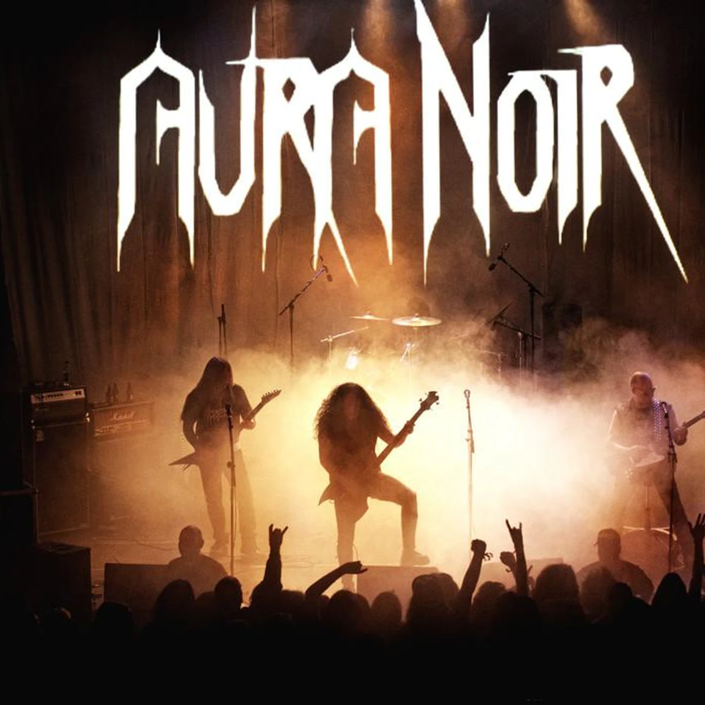 Aura Noir Brand Page