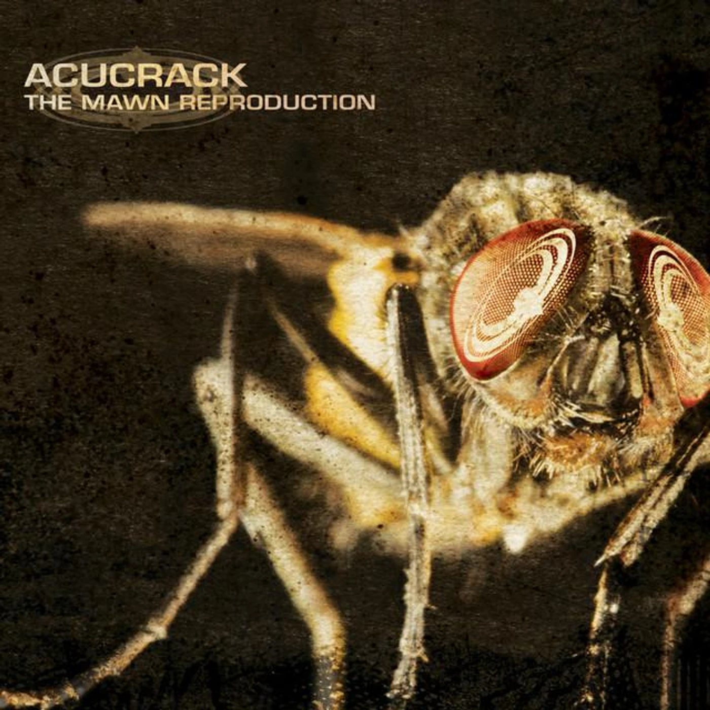 Acucrack Brand Page