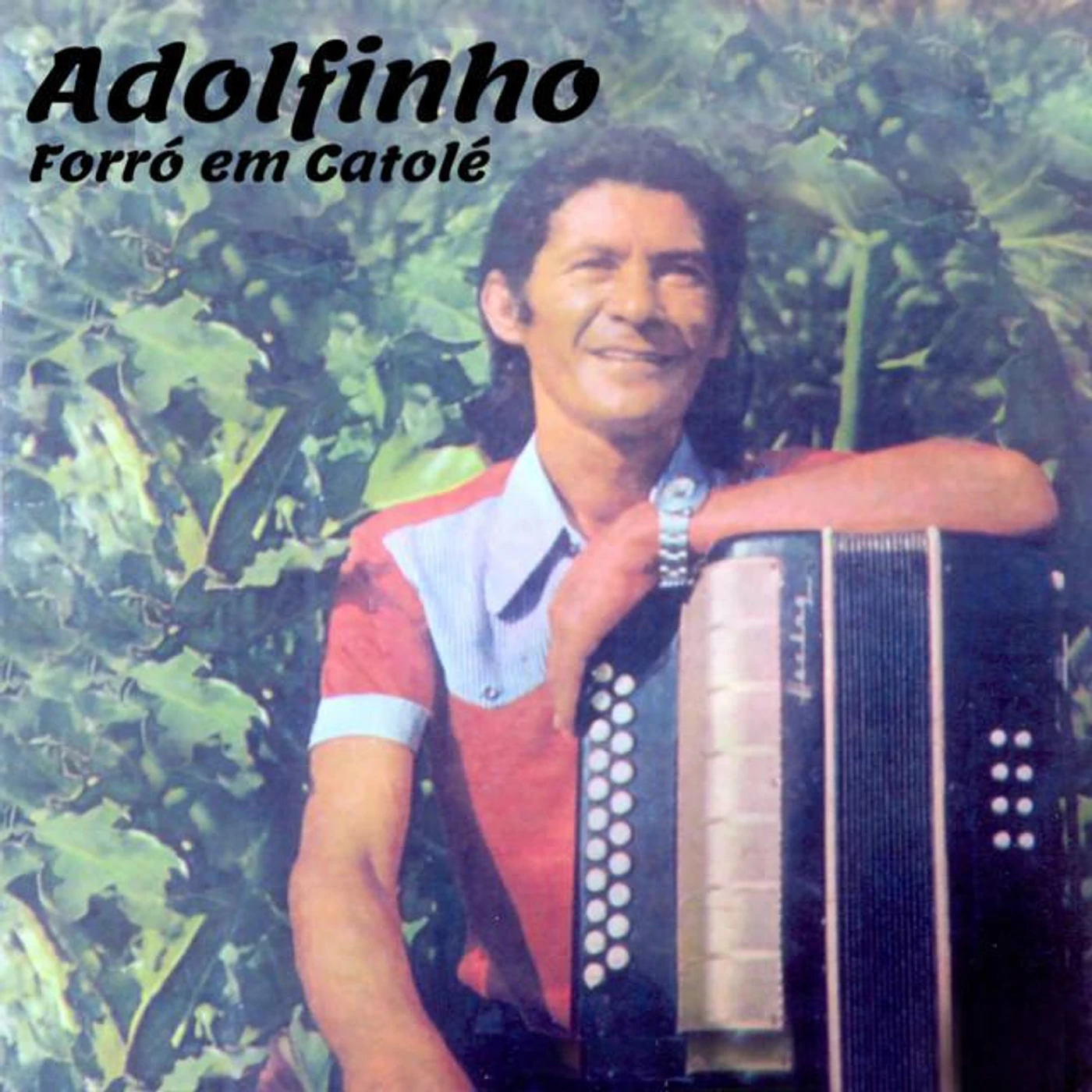 Adolfinho e Sua 8 Baixos Brand Page