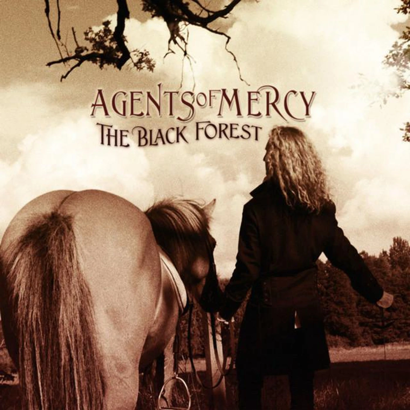 Agents Of Mercy Brand Page