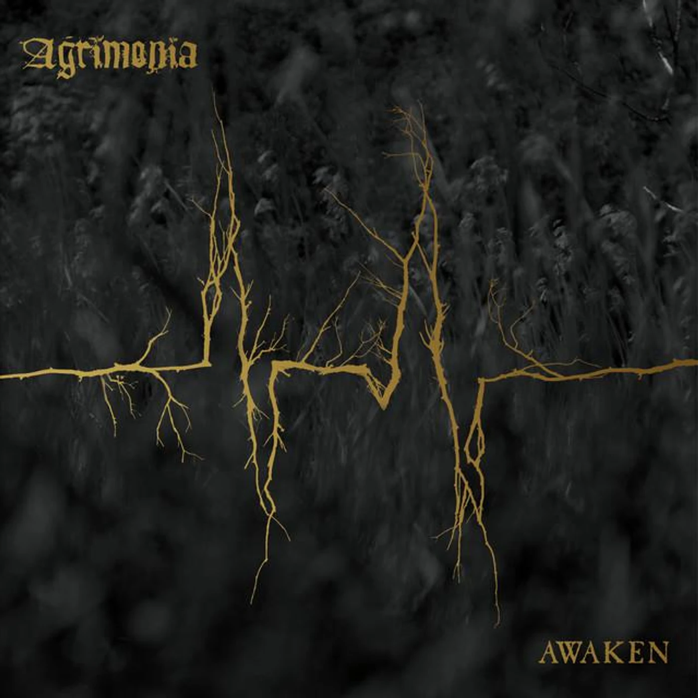 Agrimonia Brand Page