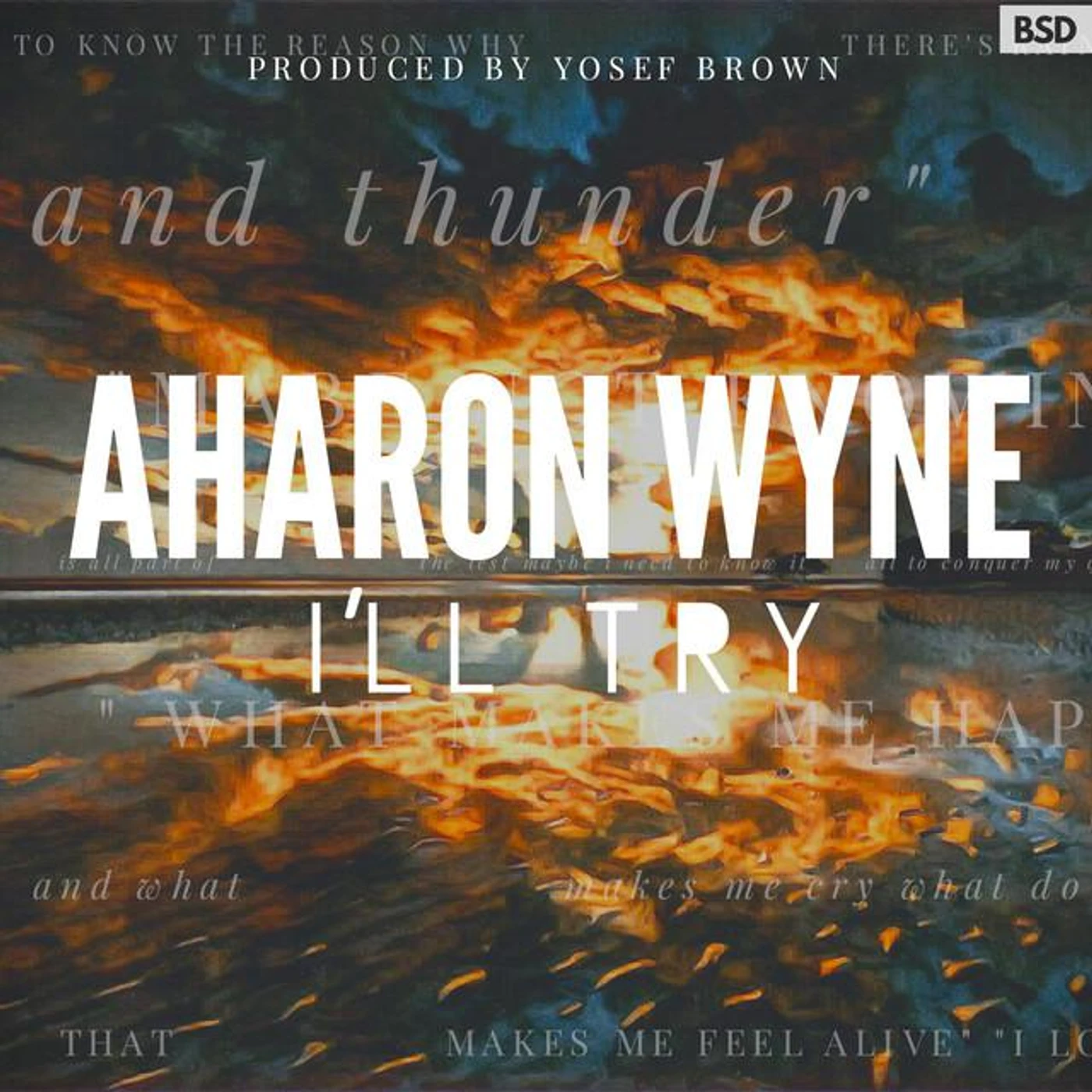 Aharon Wyne