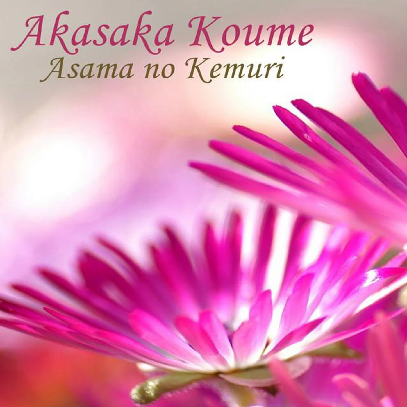 Akasaka Koume Brand Page