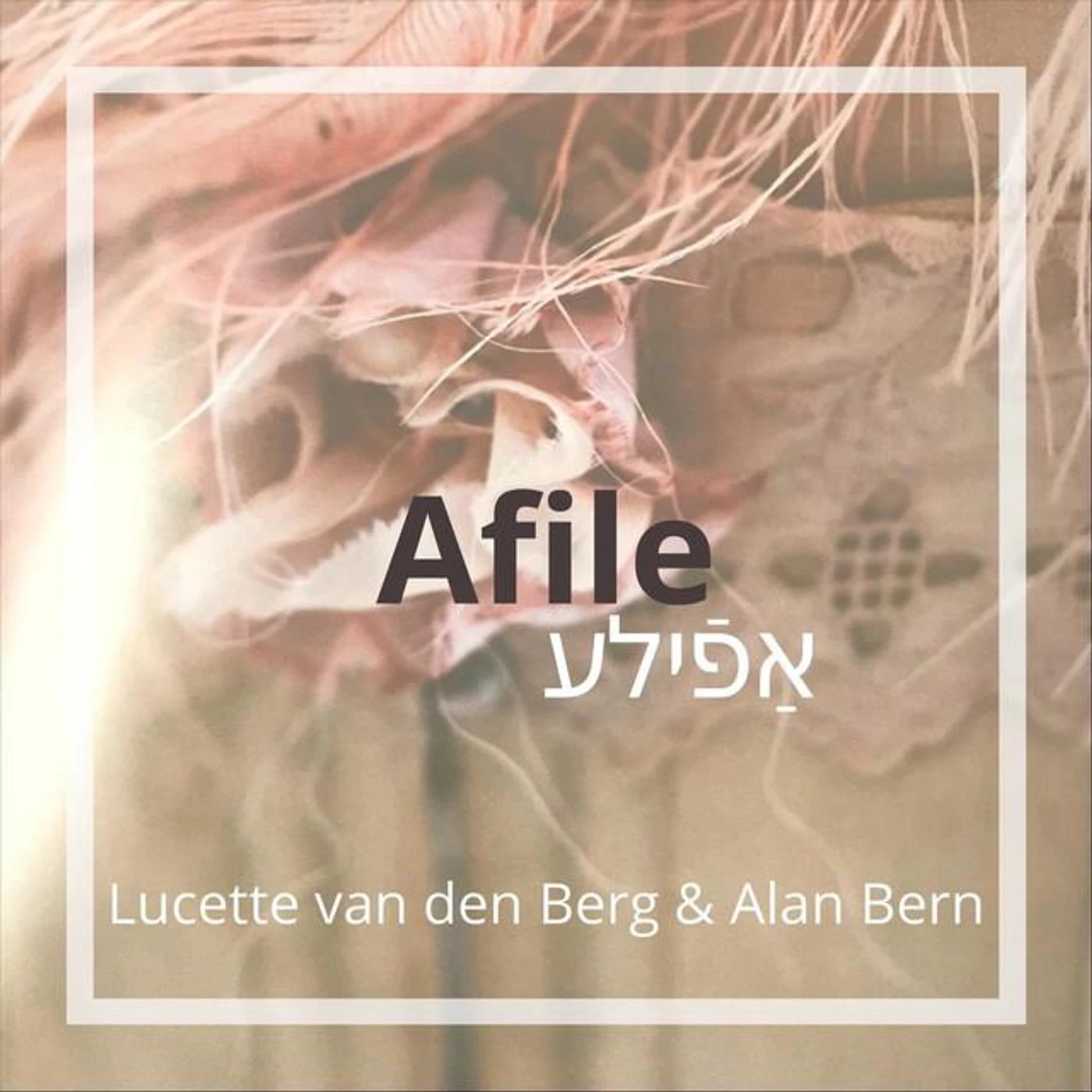 Alan Bern Brand Page