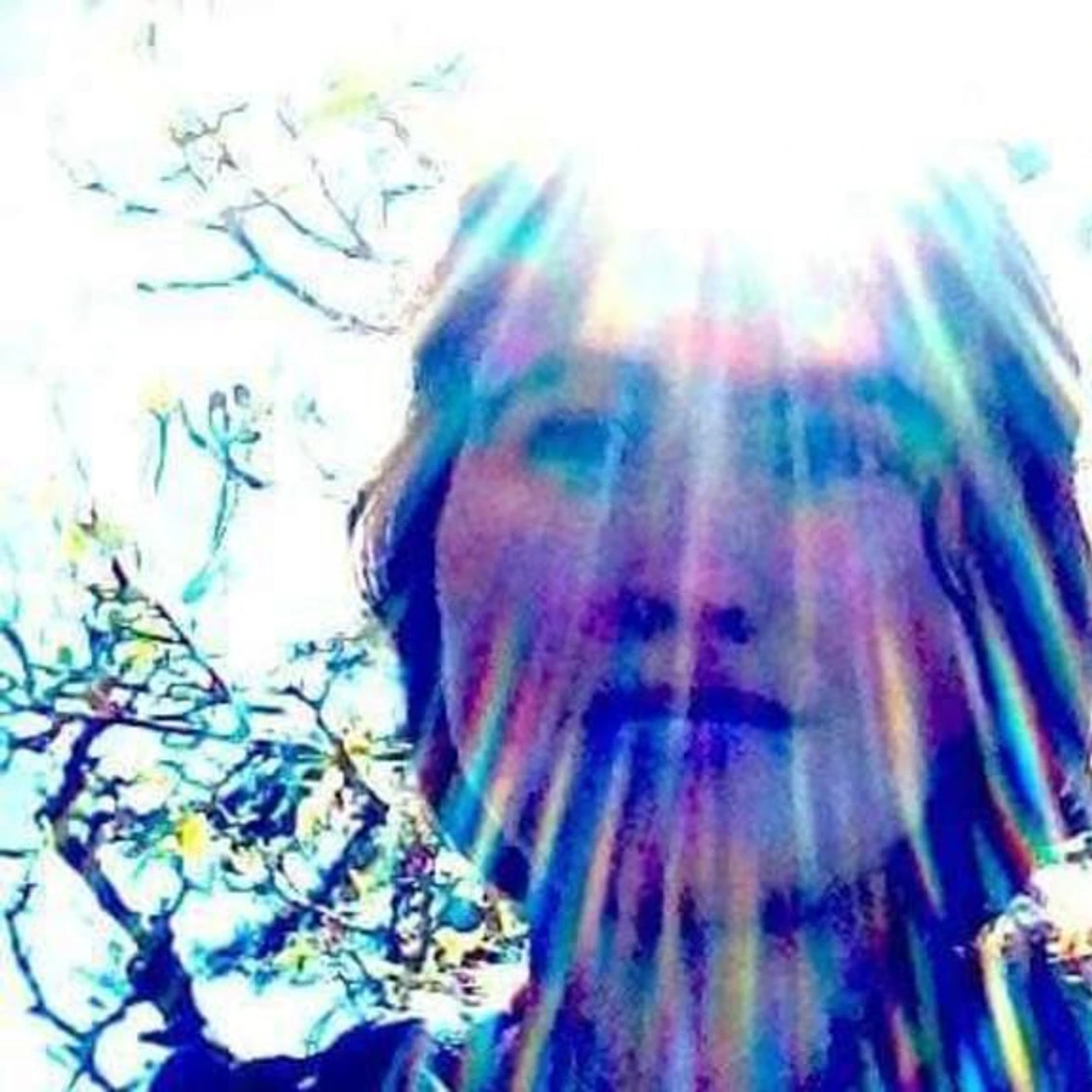 Alexa Sunshine Rose Brand Page