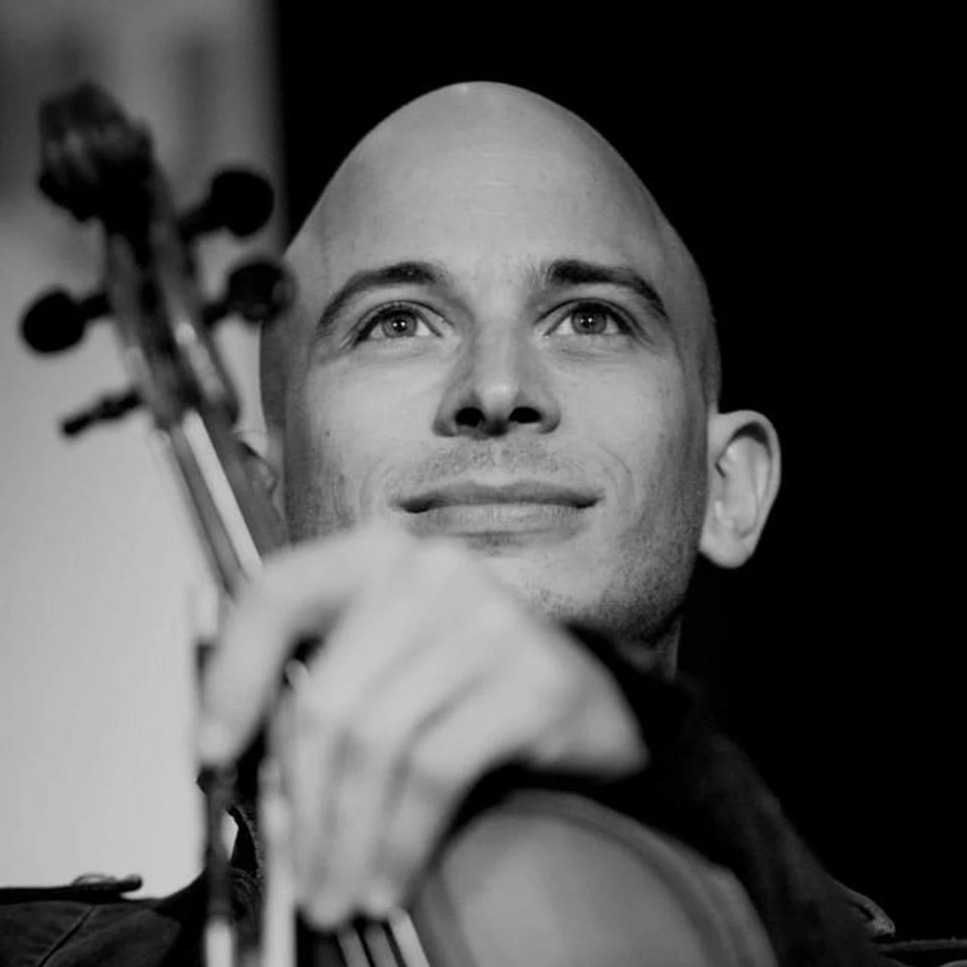 Alexandre Cavalière Brand Page