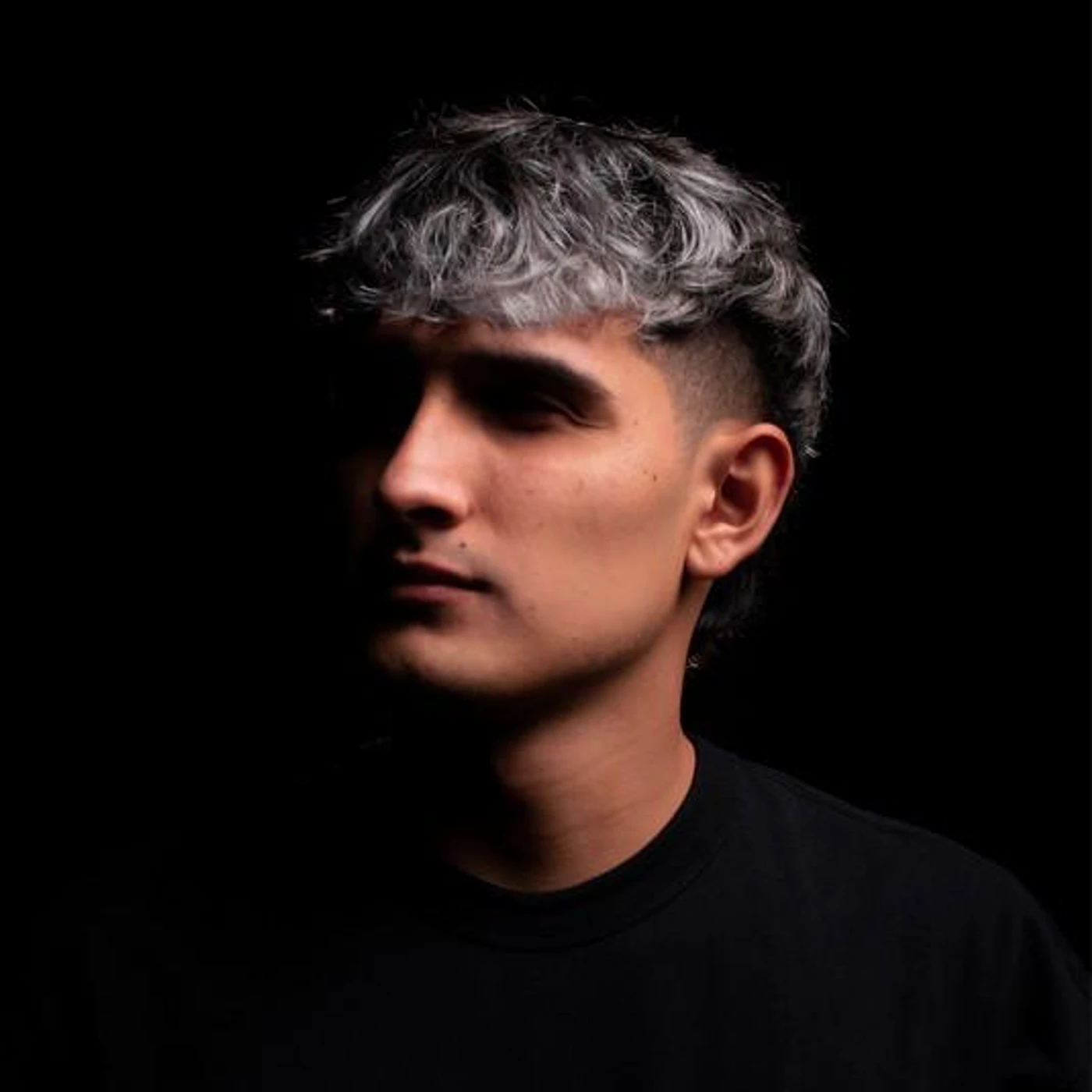 Alien Music Brand Page