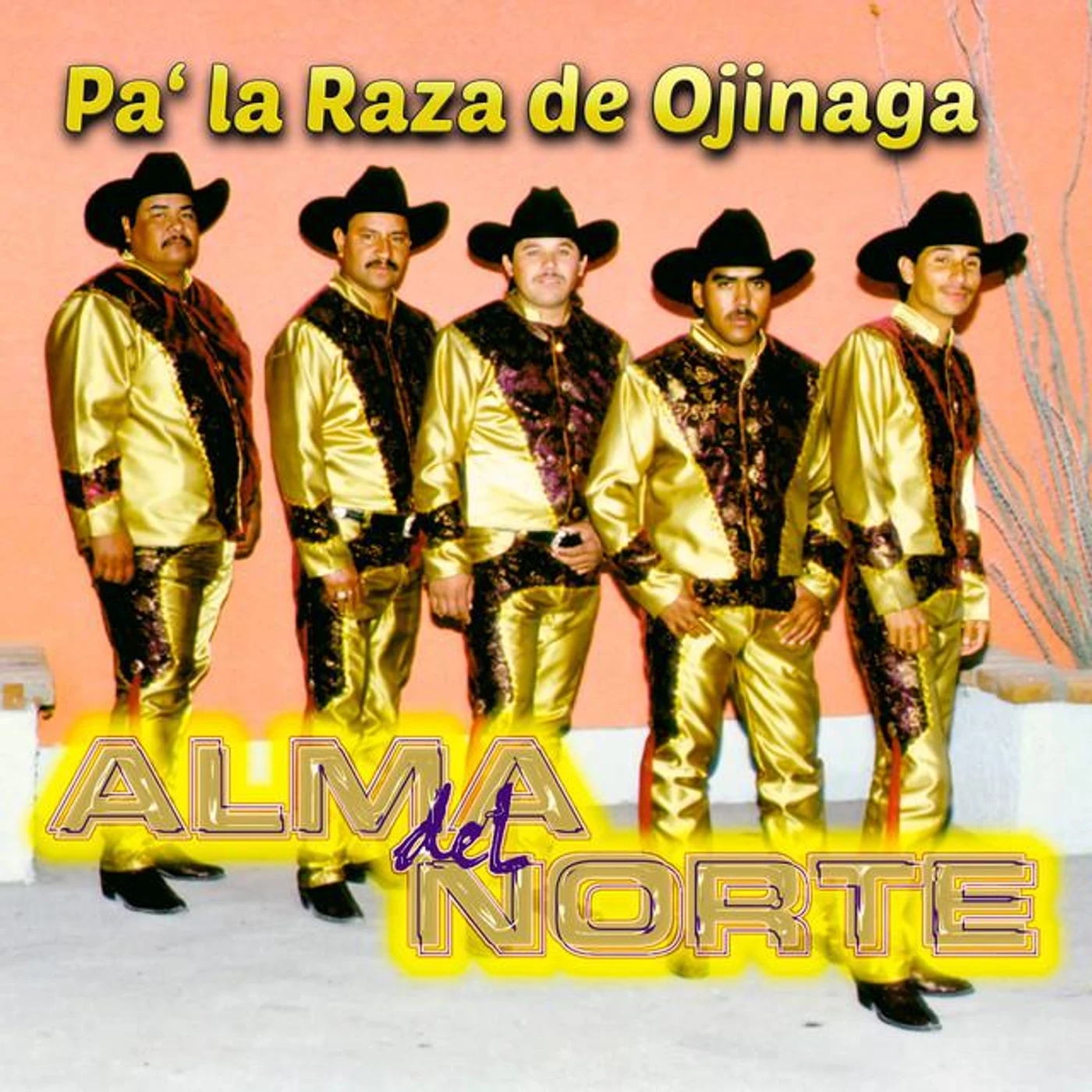 Alma del Norte Brand Page