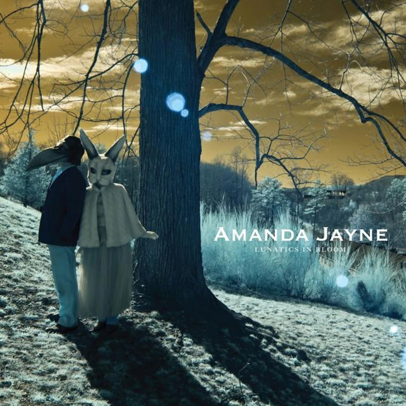 Amanda Jayne Brand Page